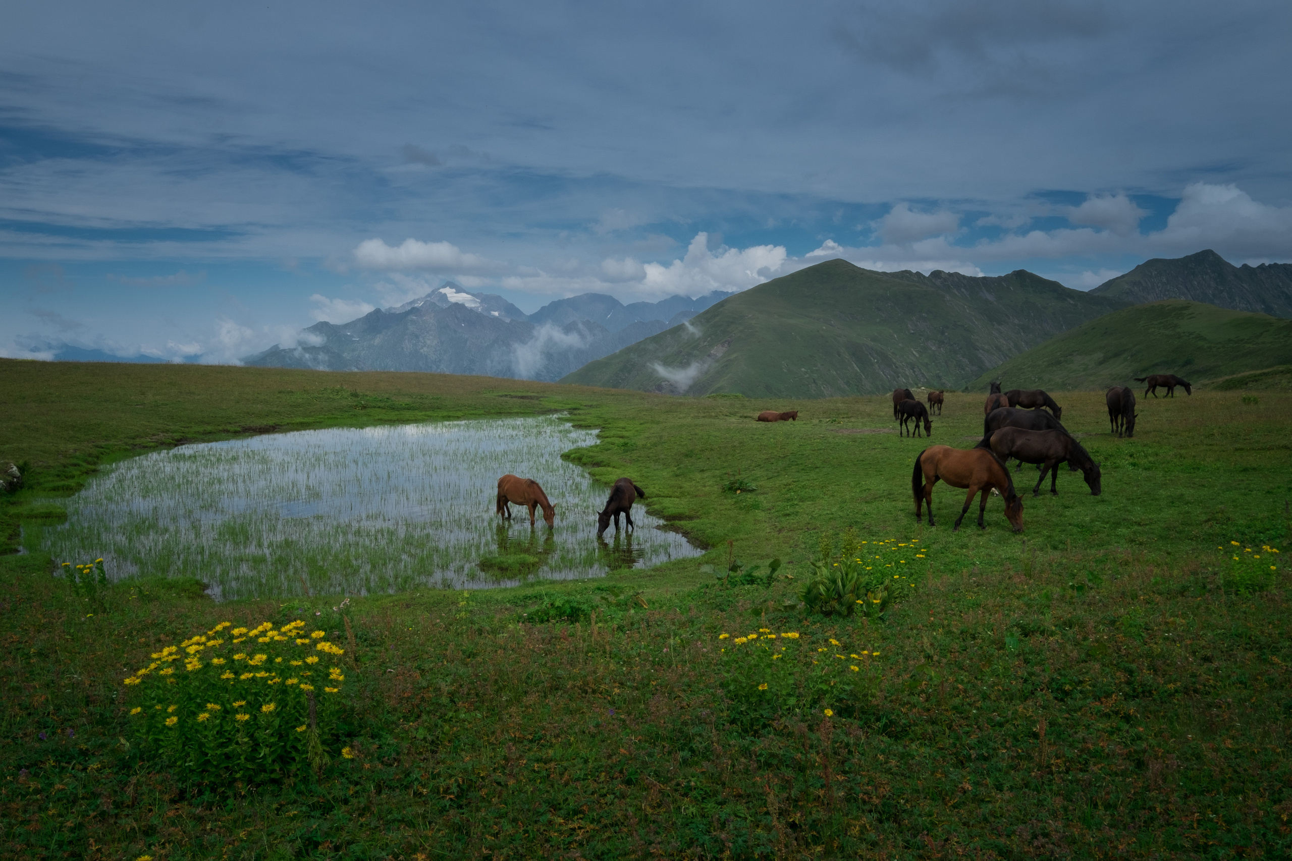 Пейзаж. Фотограф Антон Денисенко: Портрет, Документалистика, Пейзаж. Москва