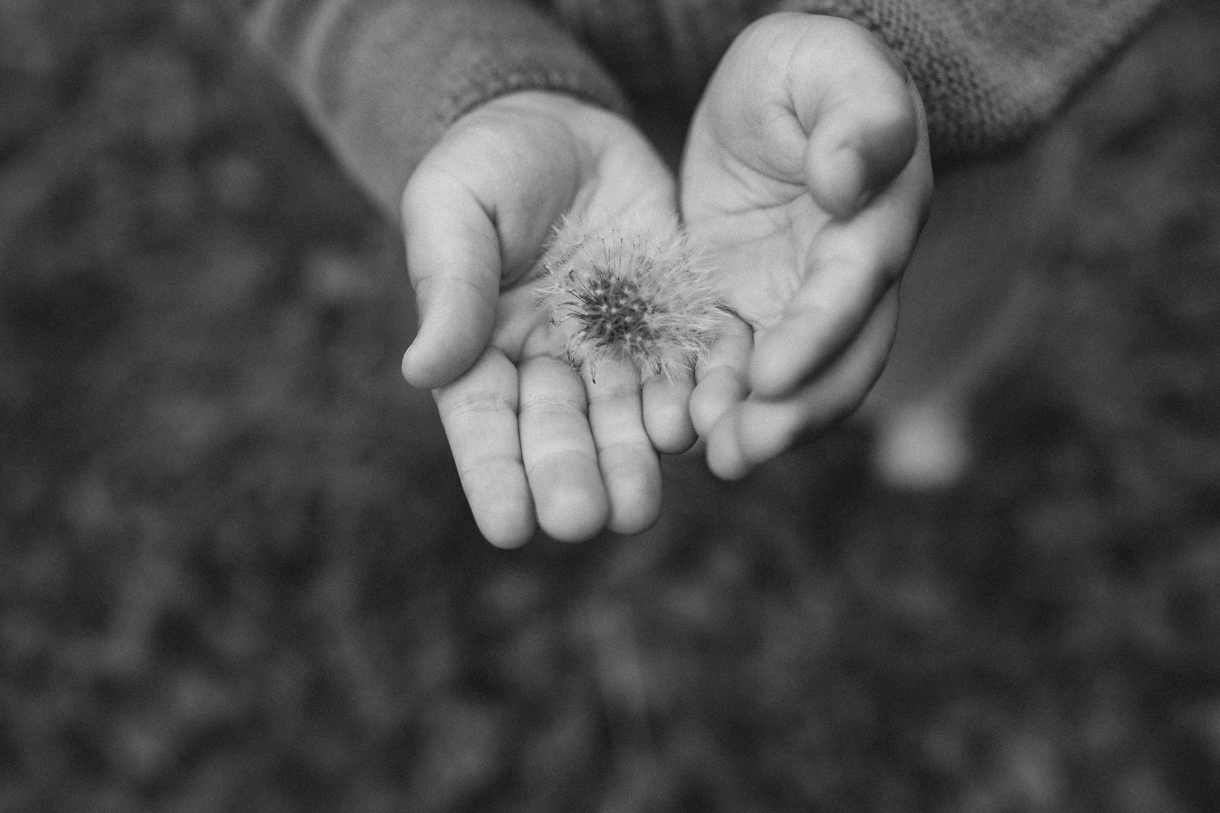 Кошки-Мышки. Семейный фотограф в Москве Алевтина Носова