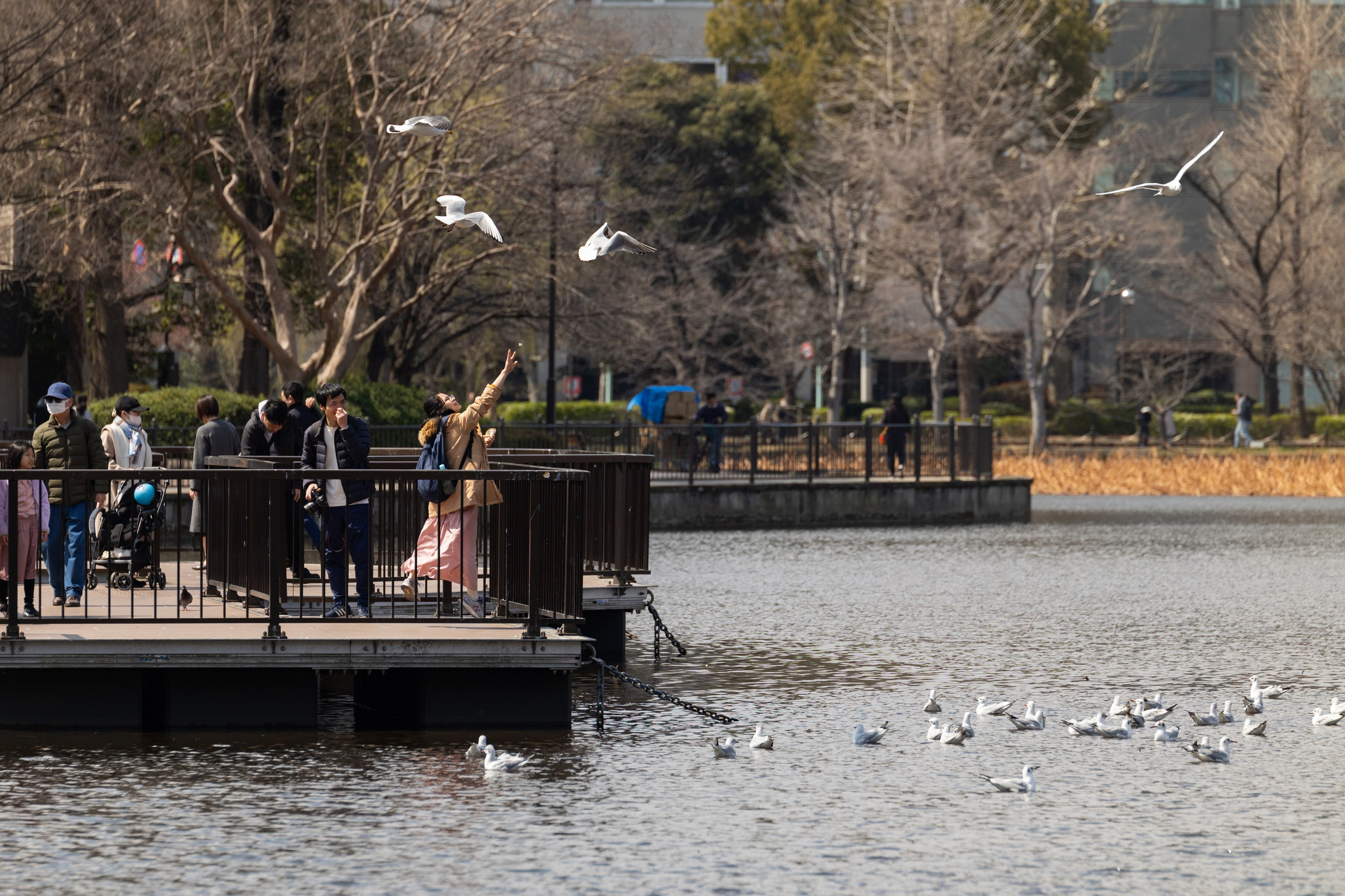 Уличные фотографии Виктор Степанов. Фотограф Виктор Степанов