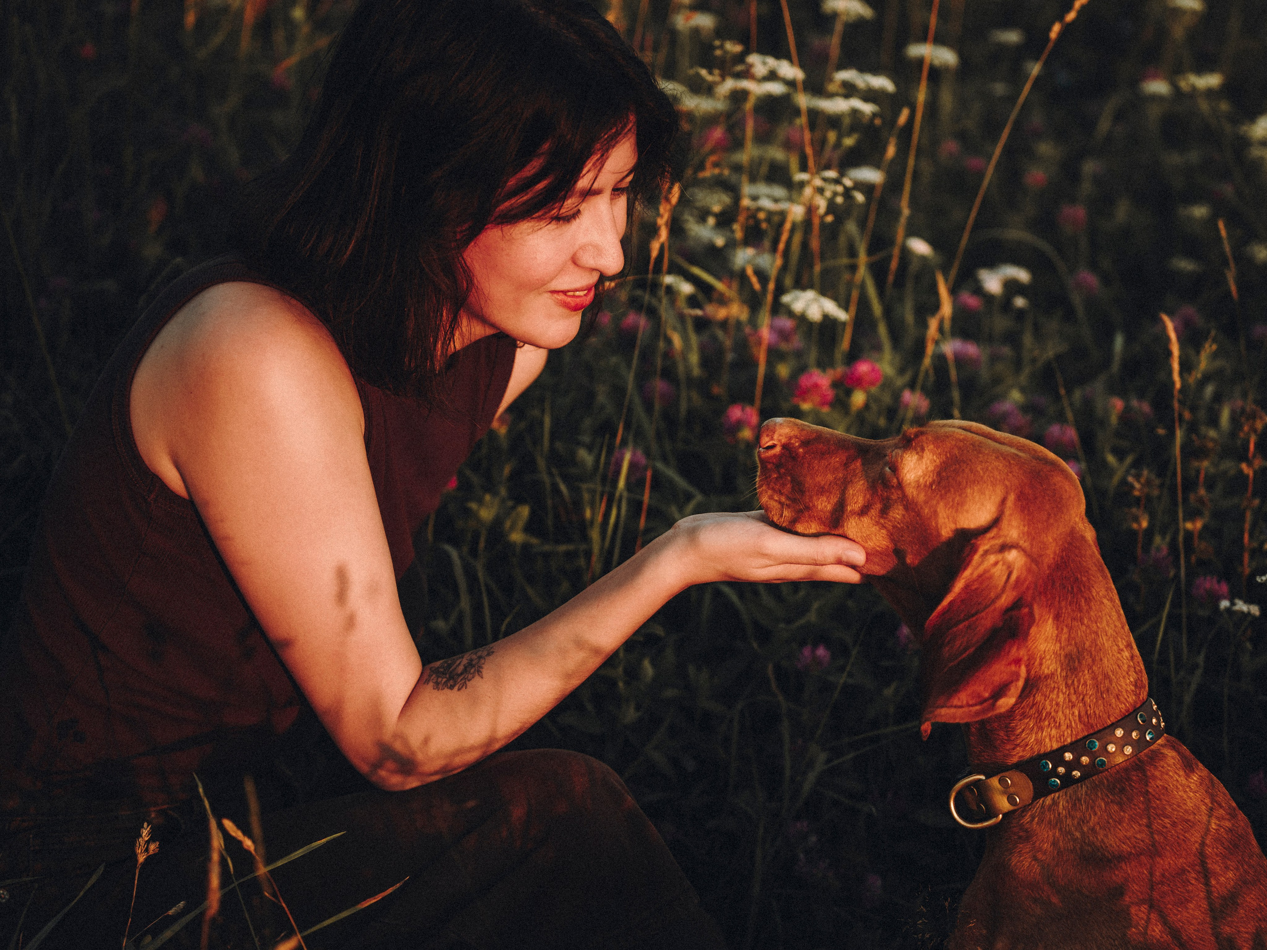 Маша, Трисс и Эста. Семейный фотограф анималист Ананьева Мария — Москва
