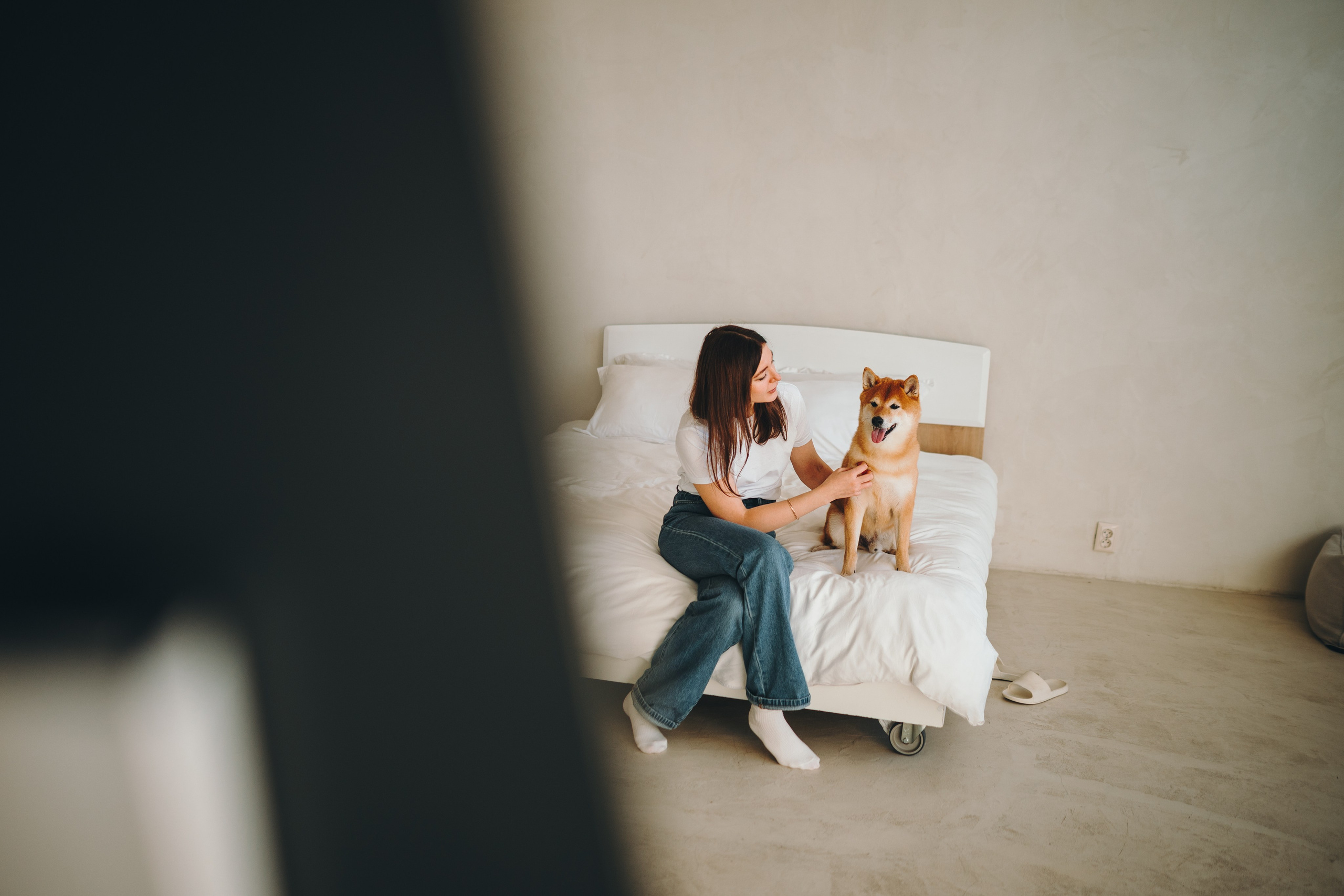 День рождения Кексика. Семейный фотограф анималист Ананьева Мария — Москва