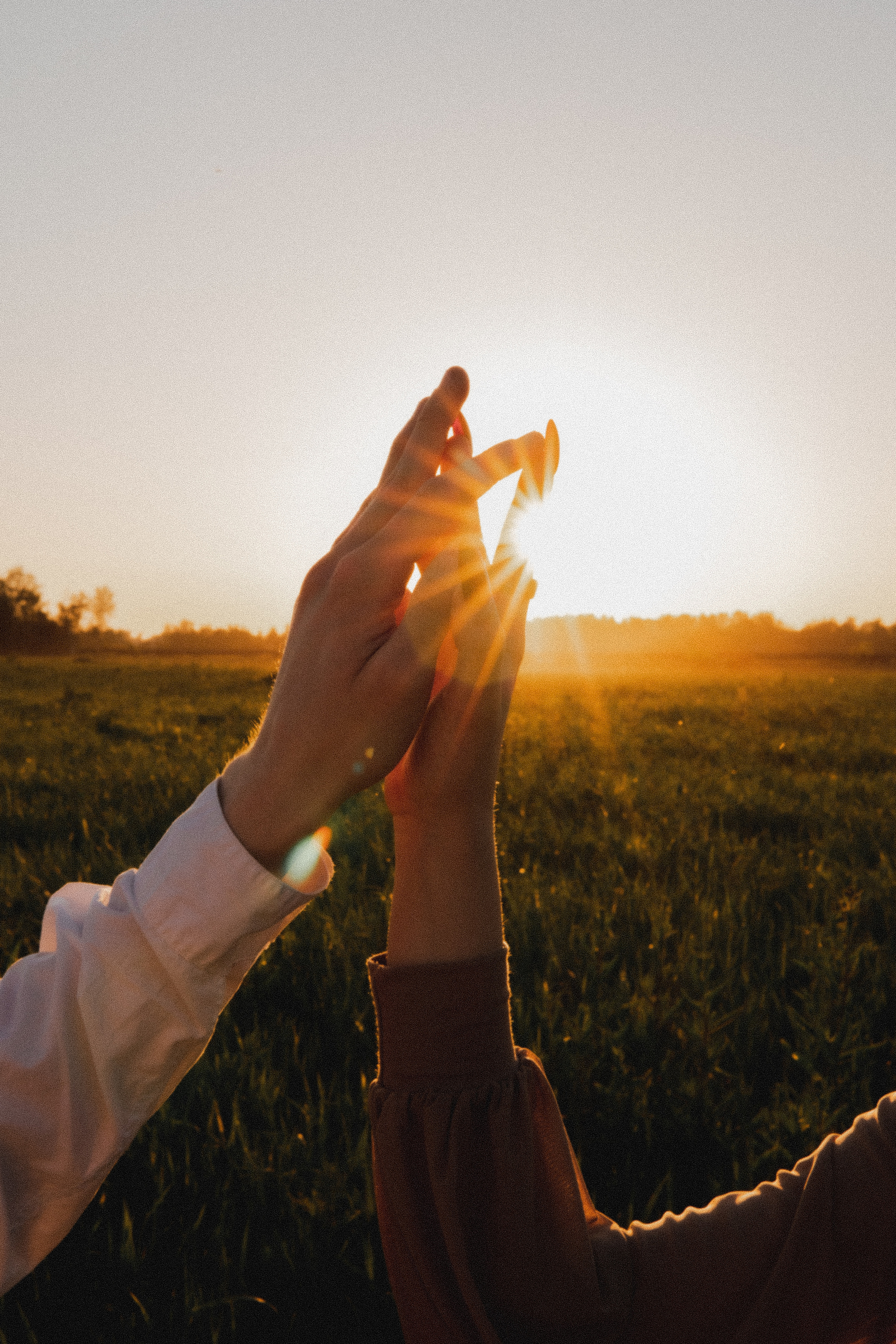 Любовь в закатном поле. love story. Свадебный и портретный фотограф в Москве, Светлана Янковая