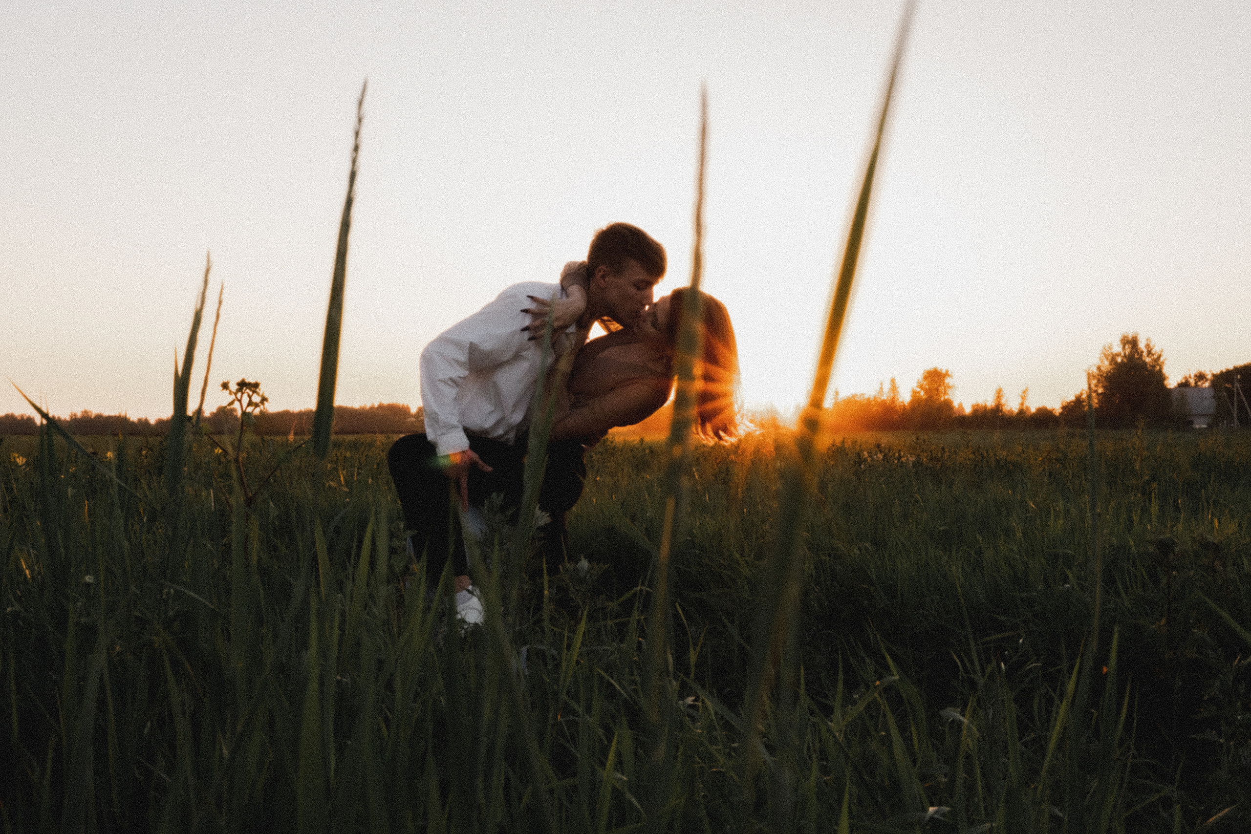 Любовь в закатном поле. love story. Свадебный и портретный фотограф в Москве, Светлана Янковая