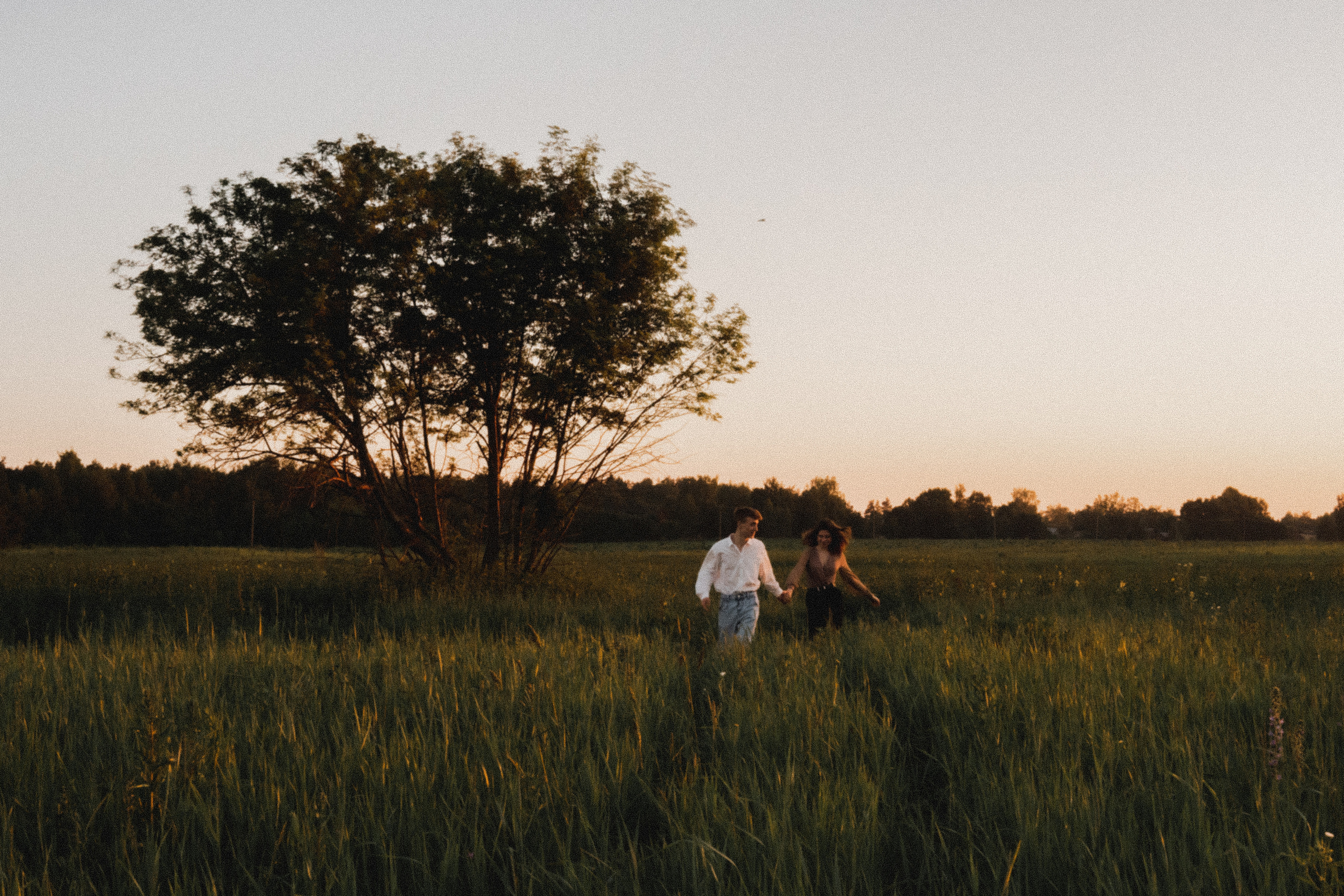 Любовь в закатном поле. love story. Свадебный и портретный фотограф в Москве, Светлана Янковая