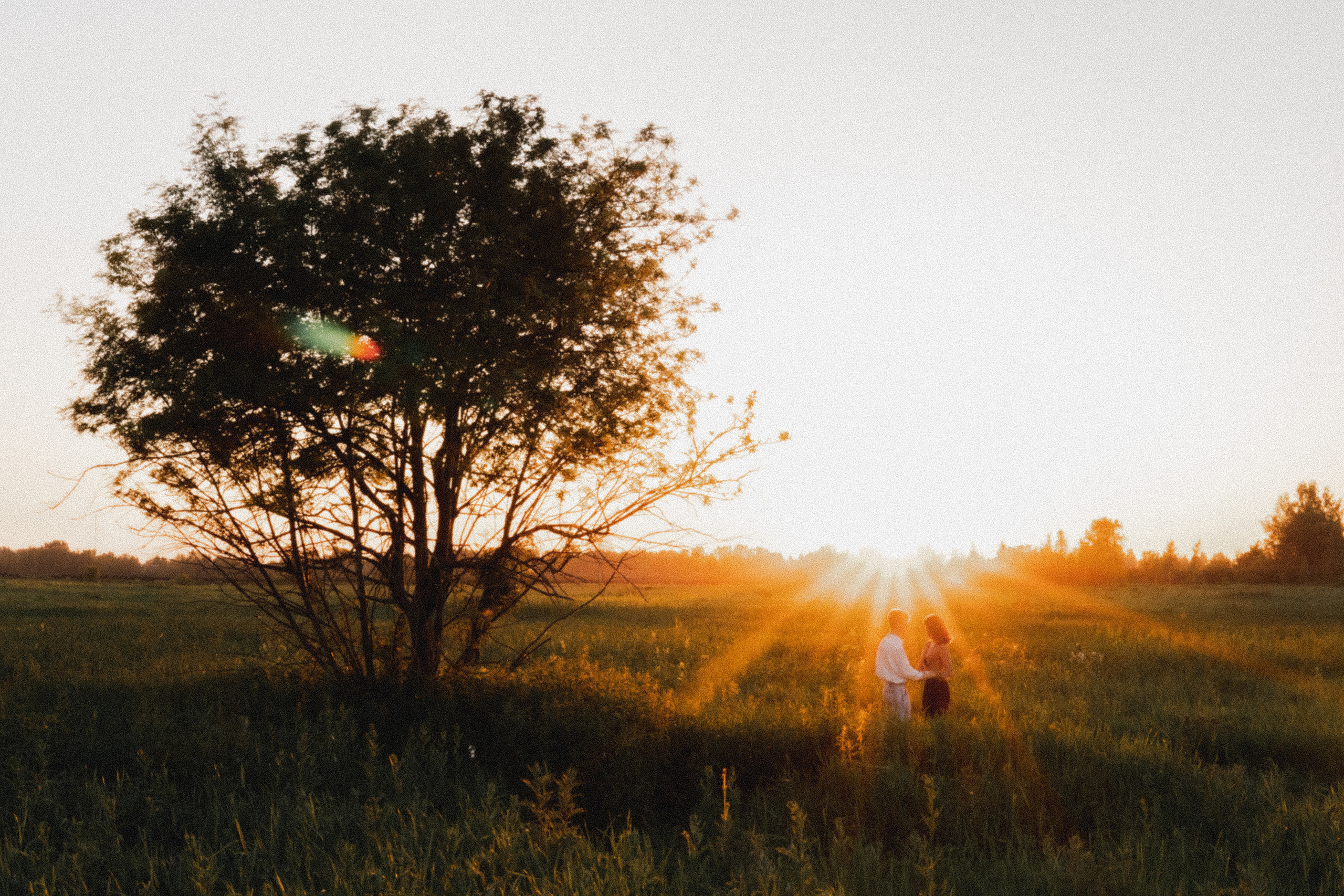 Любовь в закатном поле. love story. Свадебный и портретный фотограф в Москве, Светлана Янковая