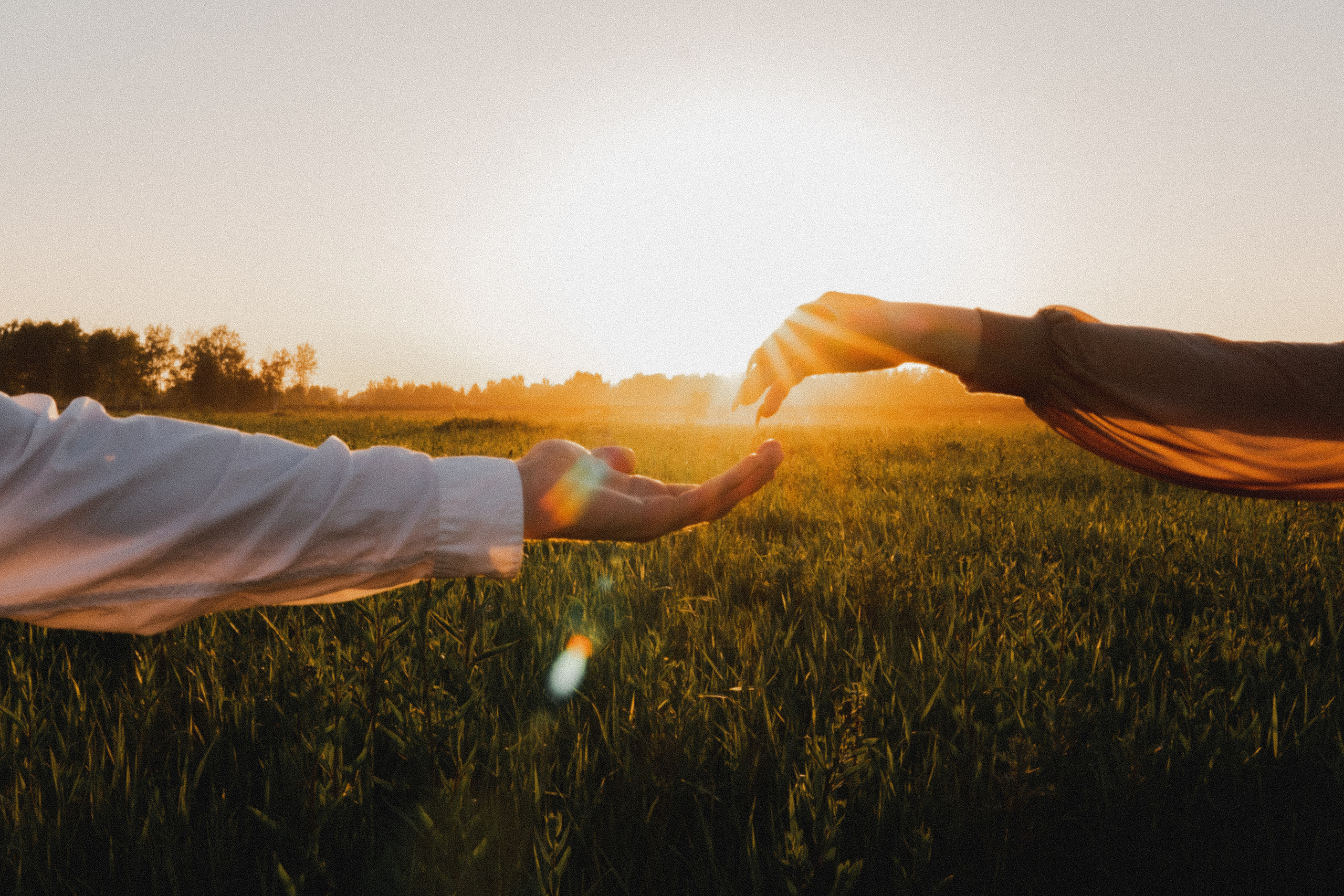 Любовь в закатном поле. love story. Свадебный и портретный фотограф в Москве, Светлана Янковая