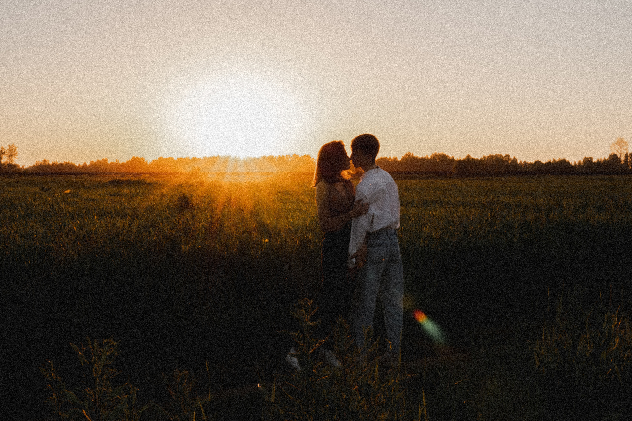 Любовь в закатном поле. love story. Свадебный и портретный фотограф в Москве, Светлана Янковая
