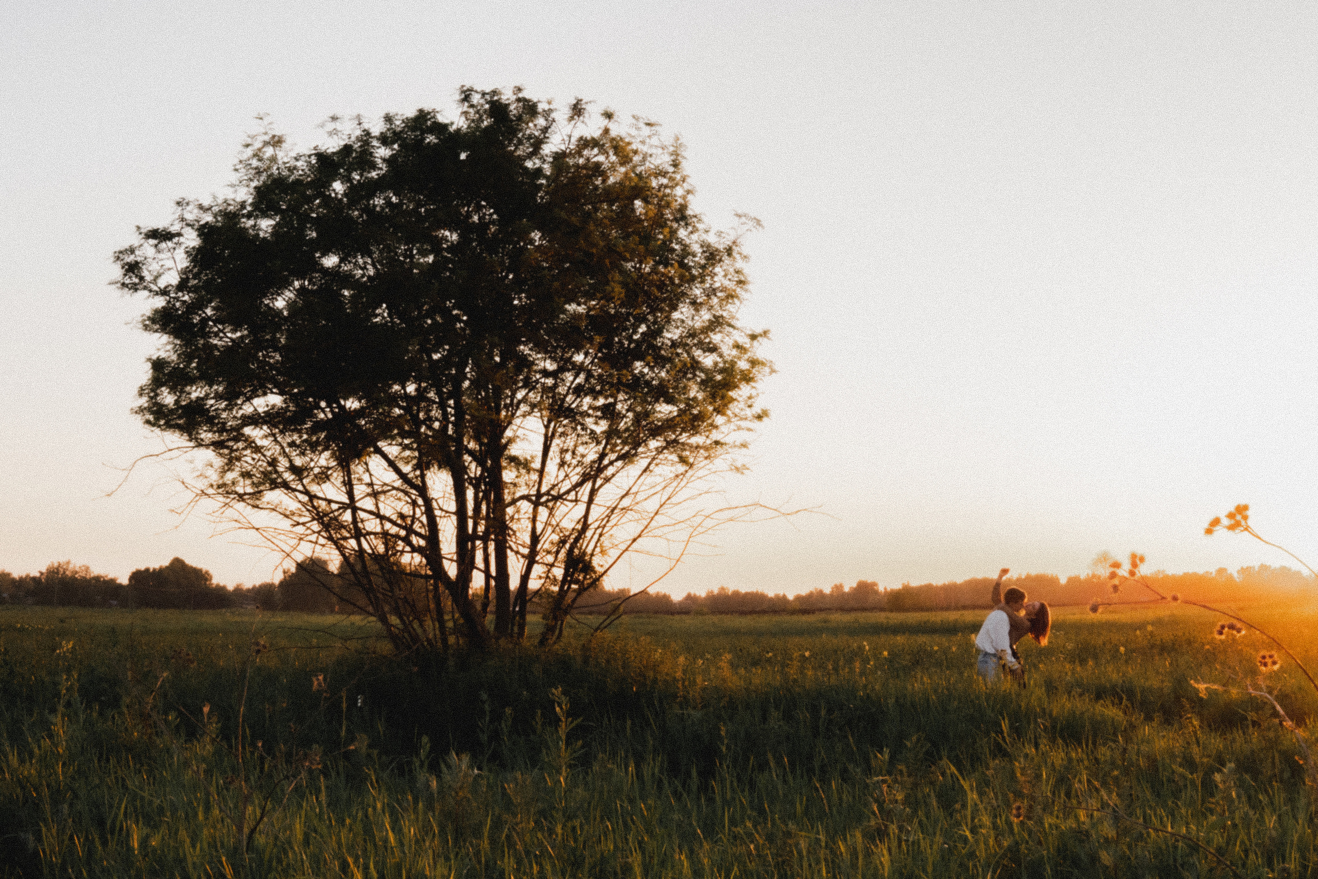 Любовь в закатном поле. love story. Свадебный и портретный фотограф в Москве, Светлана Янковая