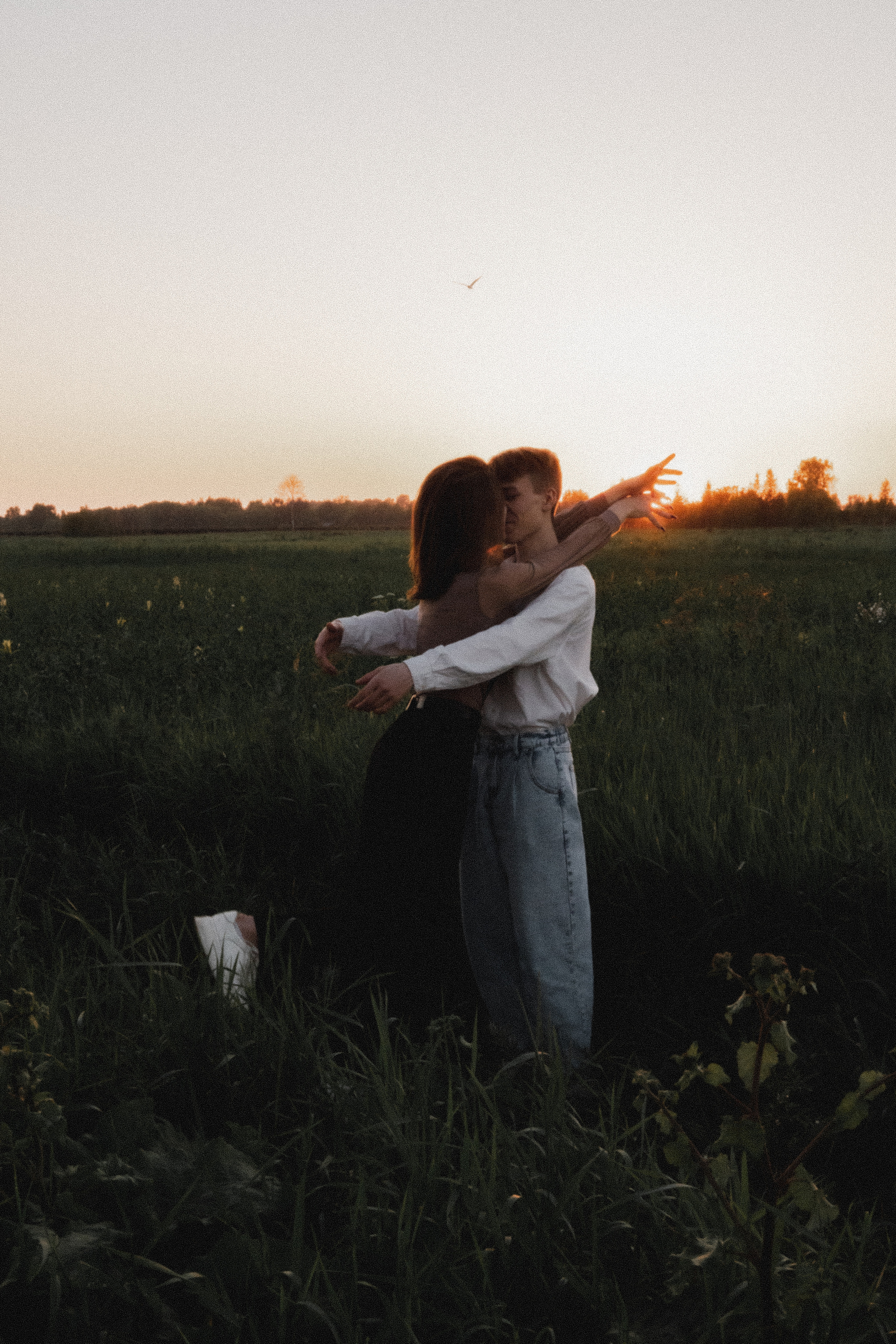 Любовь в закатном поле. love story. Свадебный и портретный фотограф в Москве, Светлана Янковая