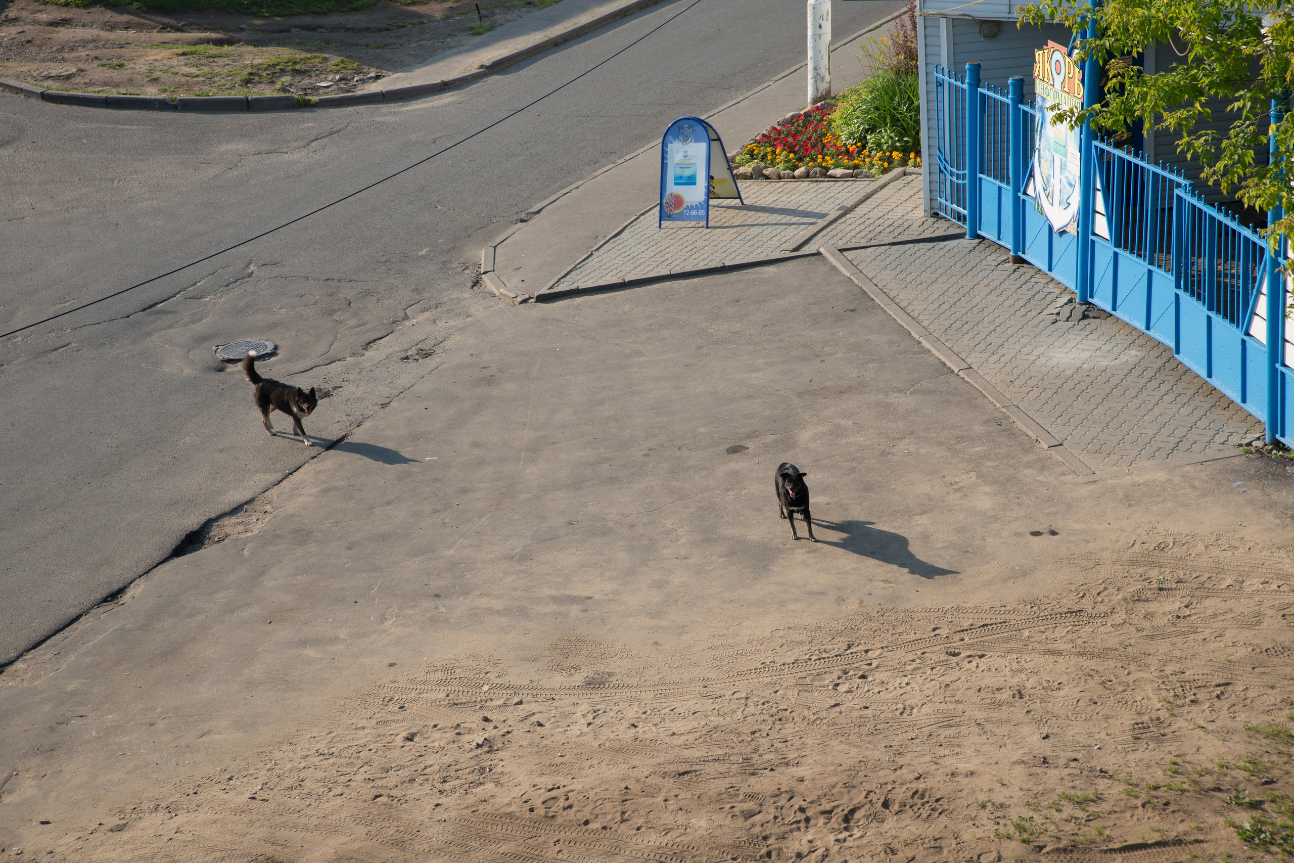 Г. Ярославль. Студия Максима Белослюдцева
