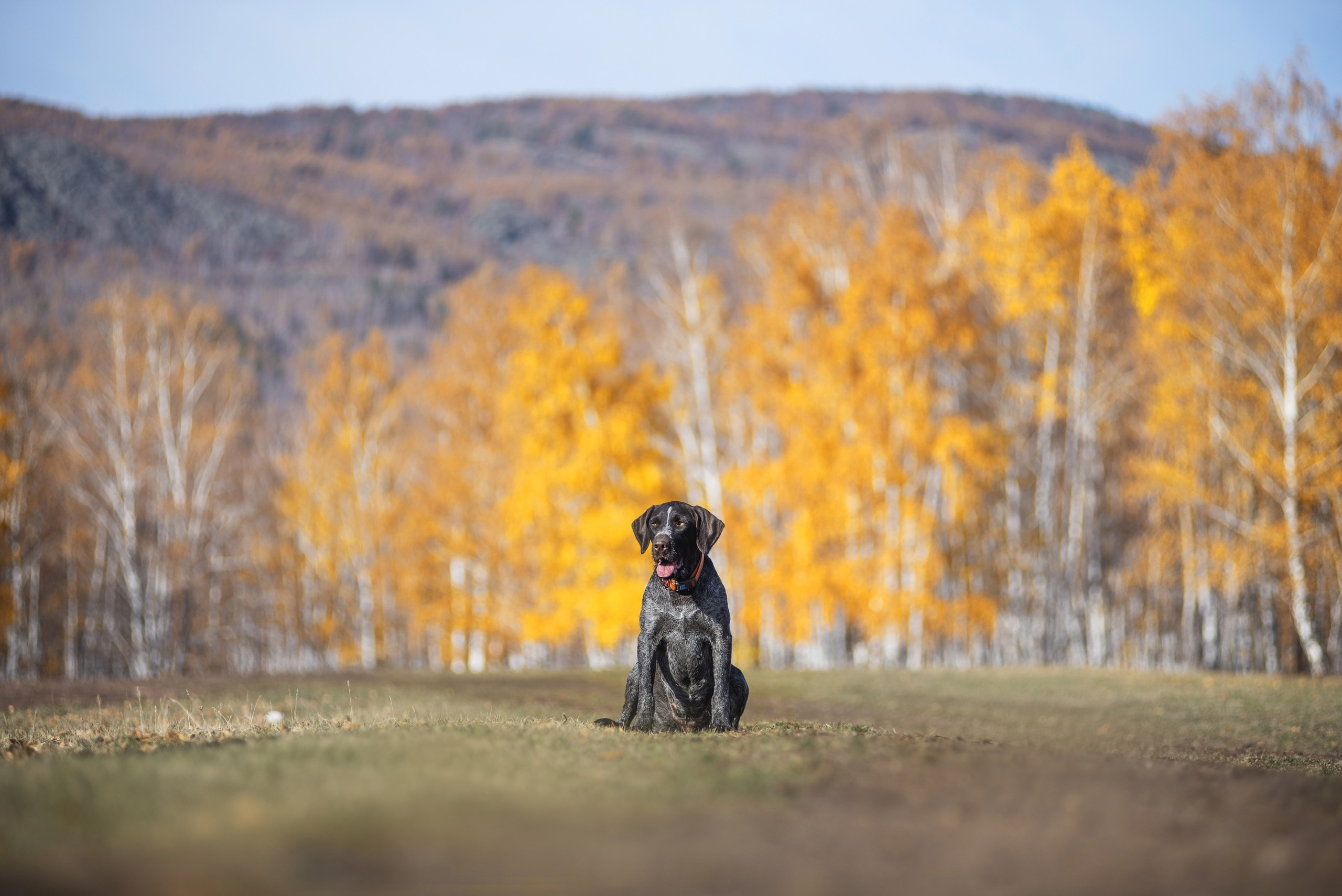 Фотографии. Главная