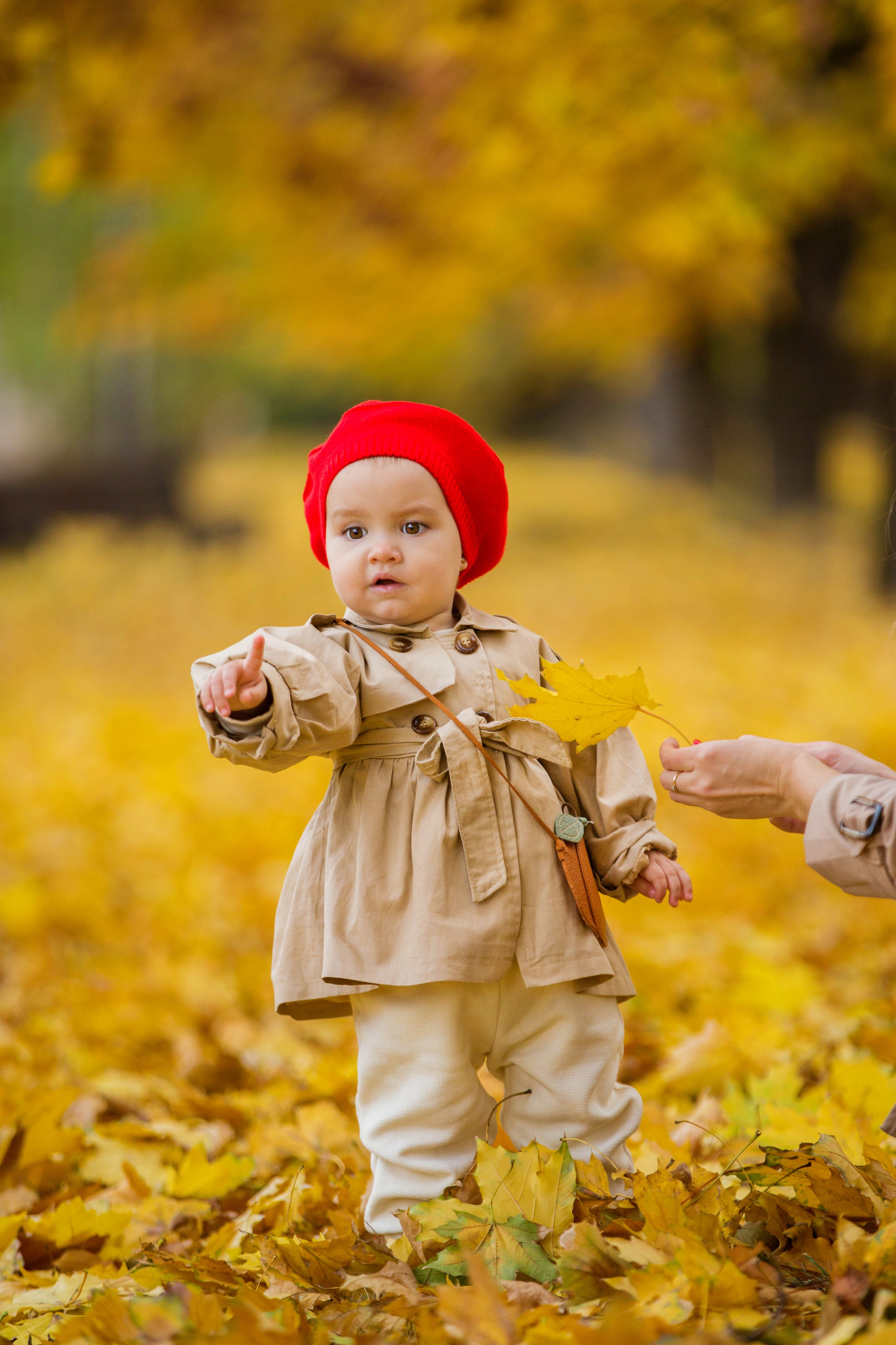 Осенняя прогулка. Дендрарий. Свадебный семейный и детский фотограф в Краснодаре Карина Федоровская