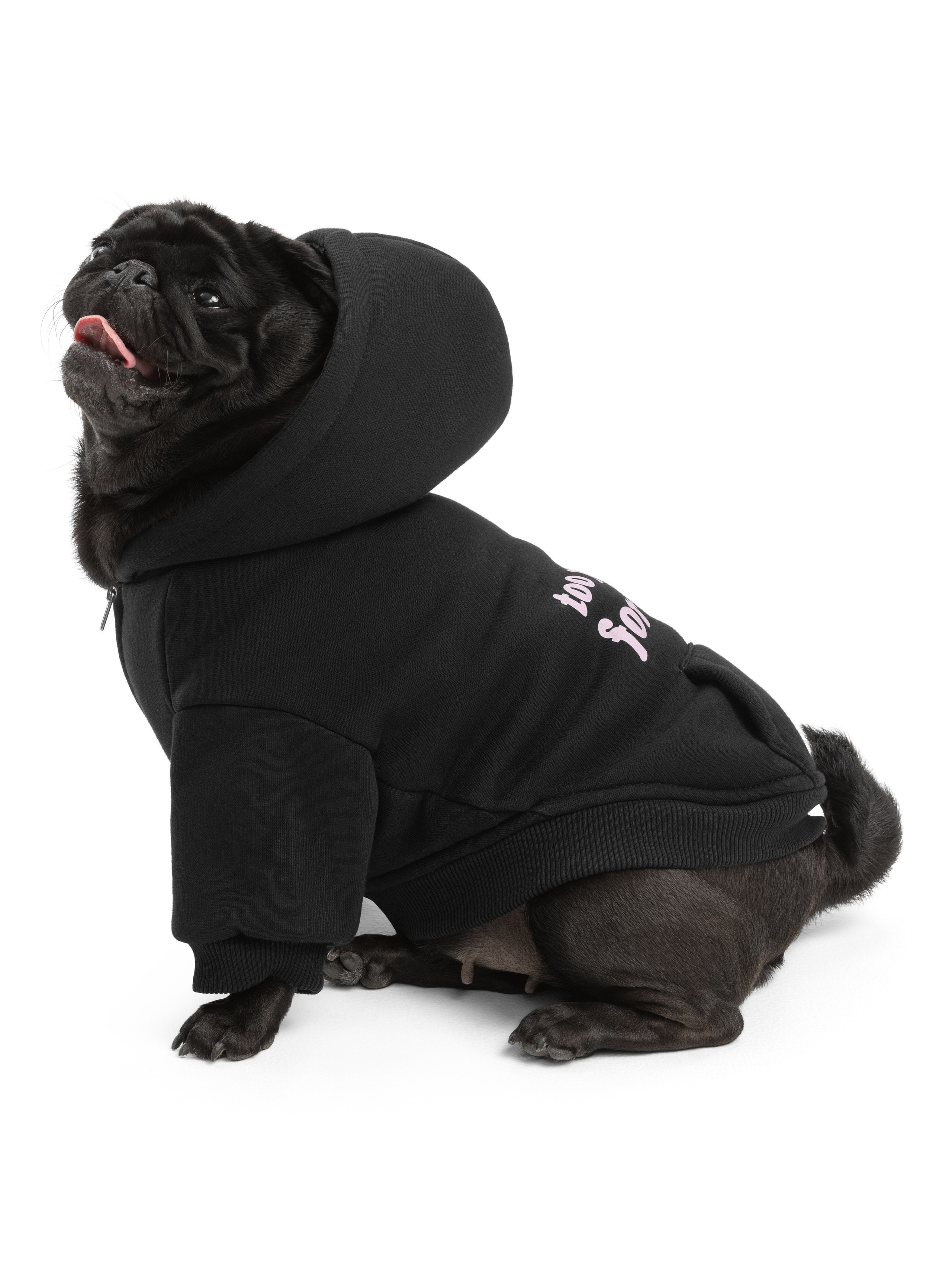 Одежда для собак Pet Subject. Олег Дмитриев