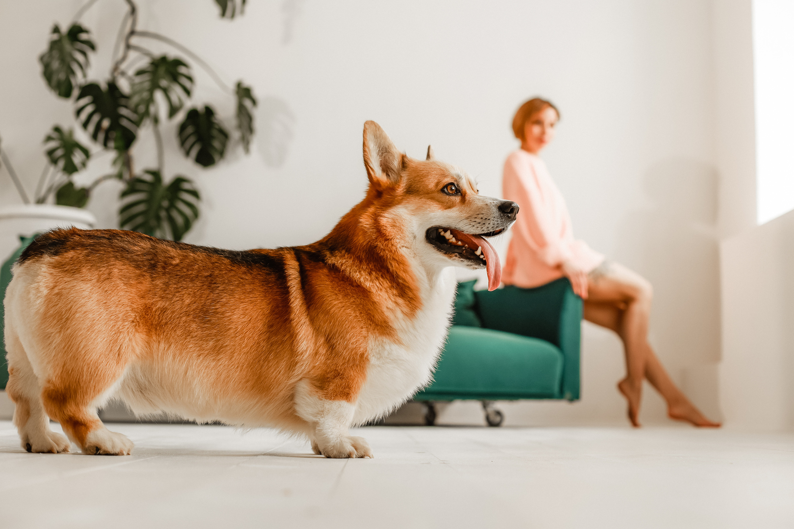 Портрет. Ваш фотограф в Сургуте Мария Булашова