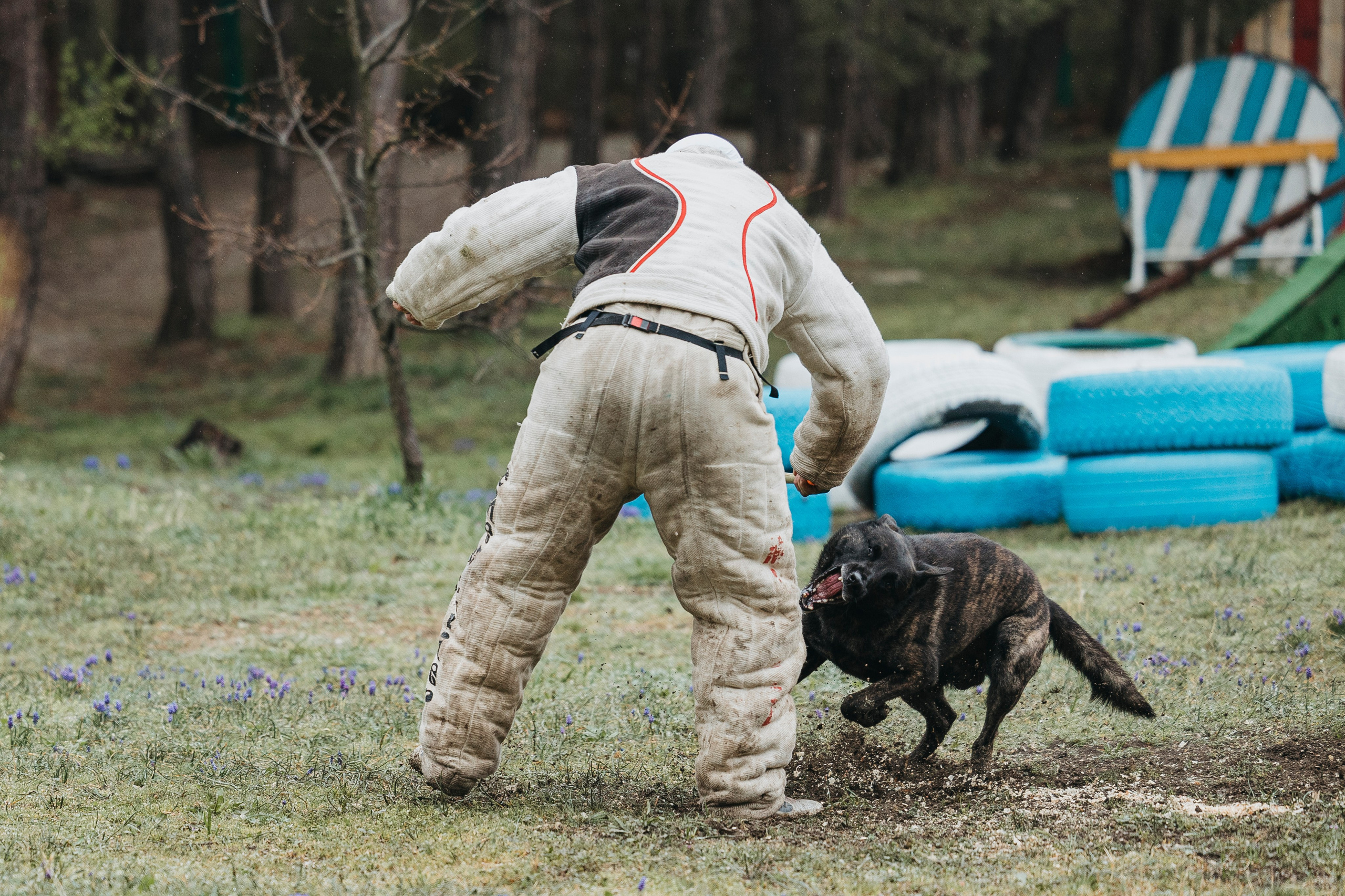 Геленджик Мондьоринг. Фотограф-анималист Анна Маринич
