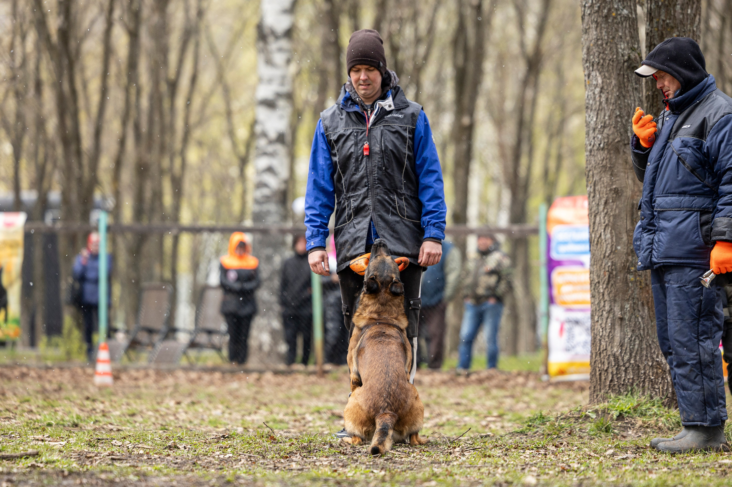 Квалификационные состязания по мондьорингу г. Вологда 11.05.24. Фотограф-анималист Анна Маринич