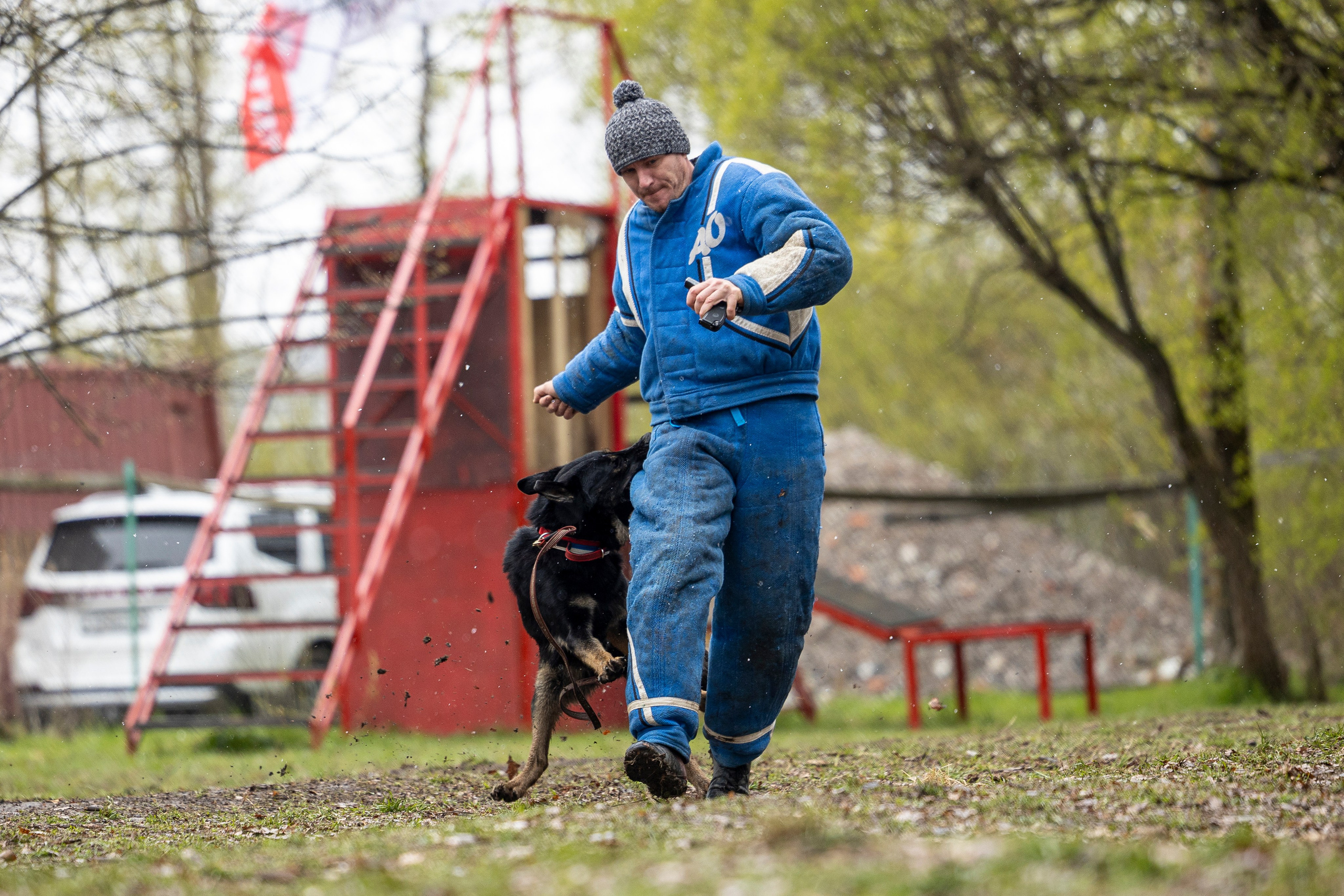 Квалификационные состязания по мондьорингу г. Вологда 11.05.24. Фотограф-анималист Анна Маринич