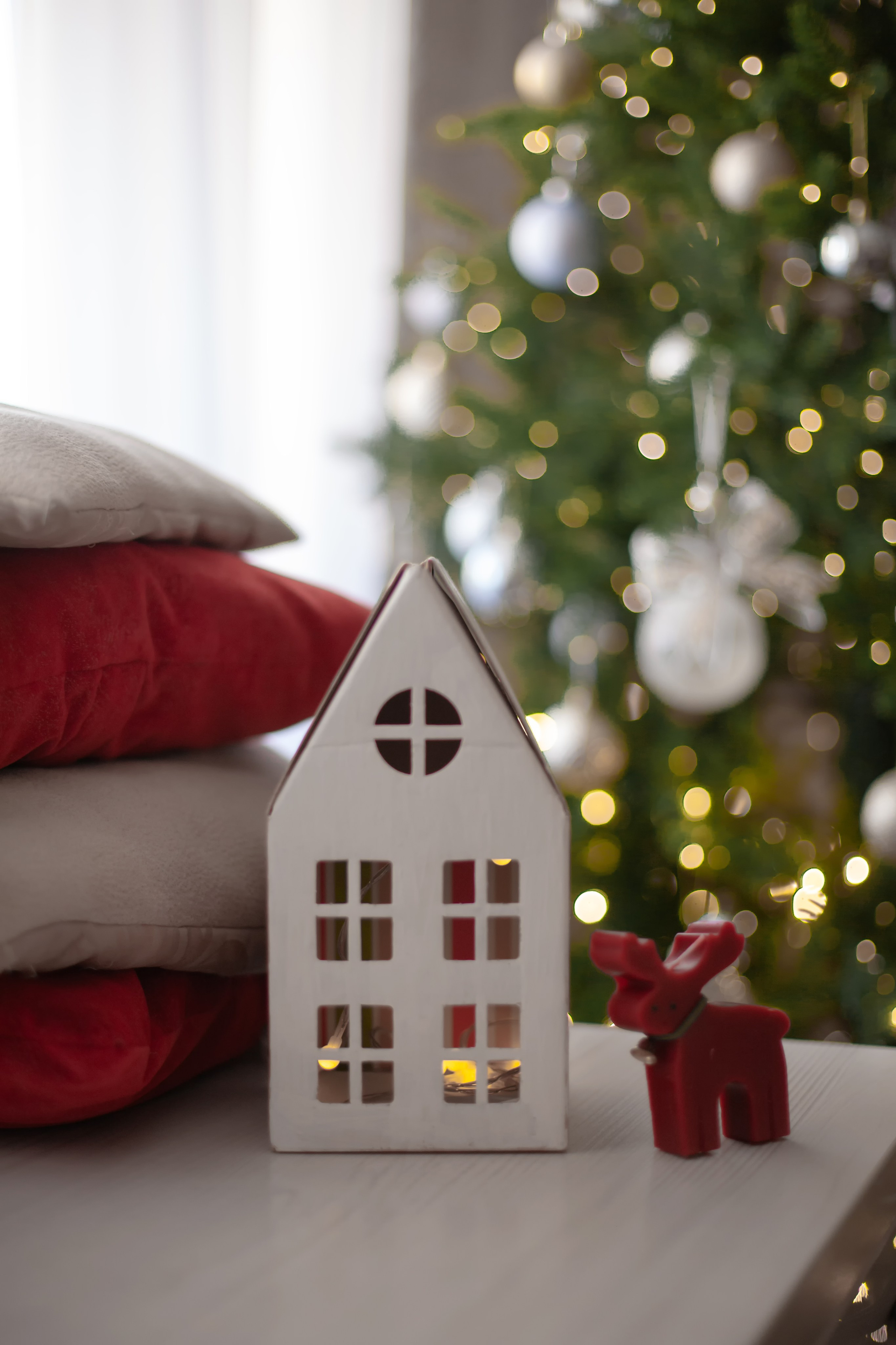 Домашняя. Фотограф в Томске Евгения Гуляева