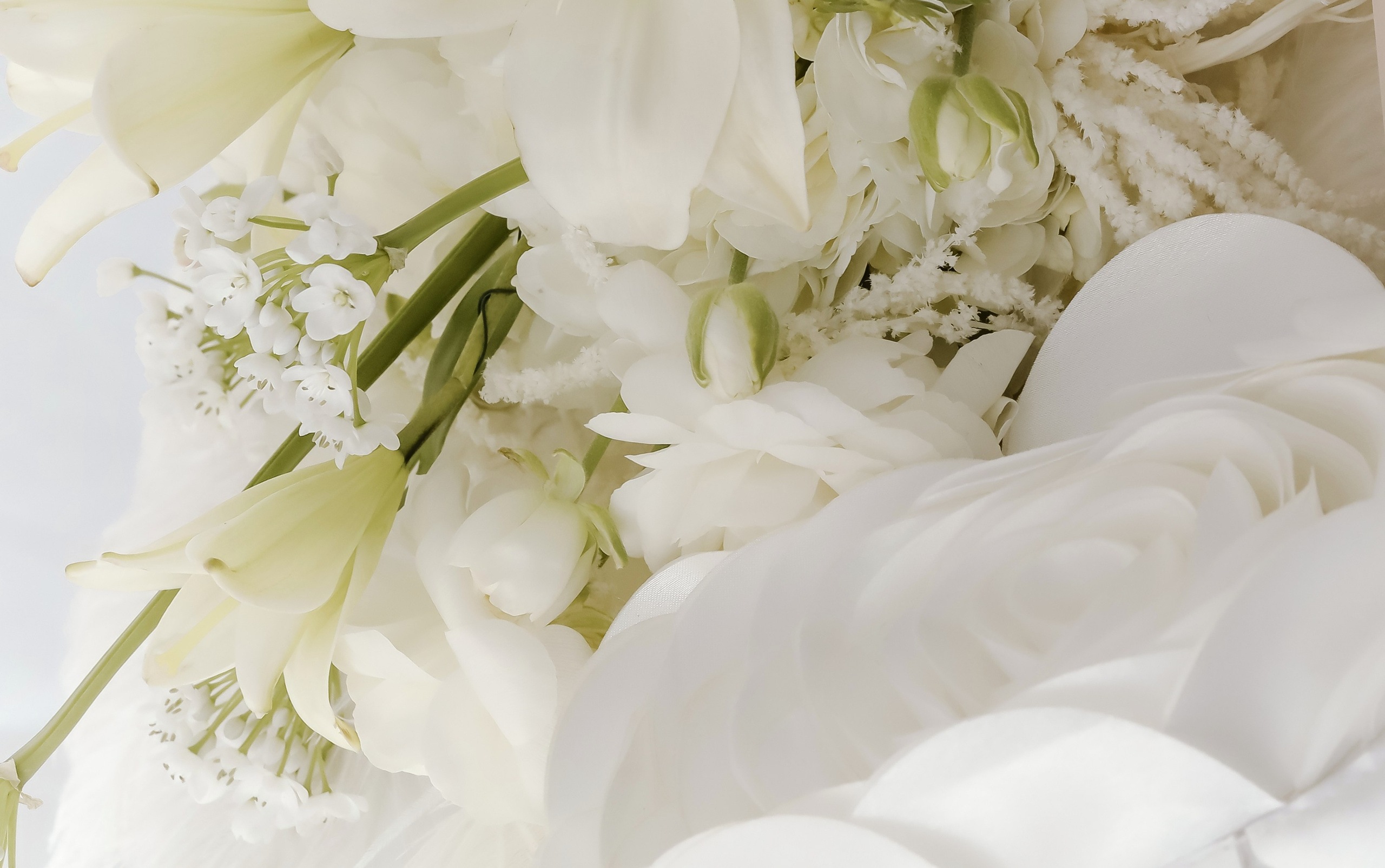 Виктория и Максим.Краснодар. Фотограф Славянск на кубани Краснодар