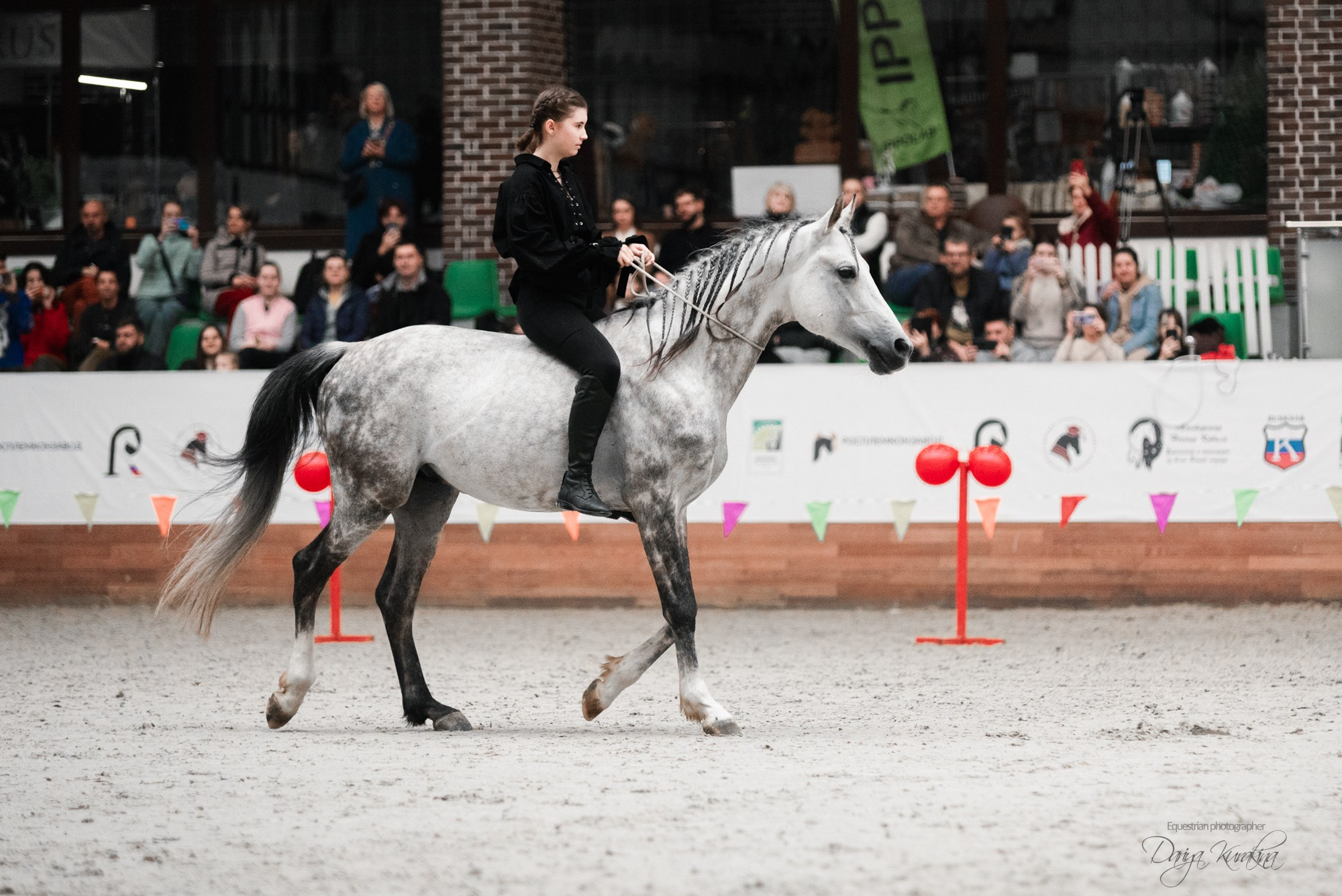 8-я международная выставка Конная Россия. Конный фотограф Куракина Дарья • Фотосессии с лошадьми