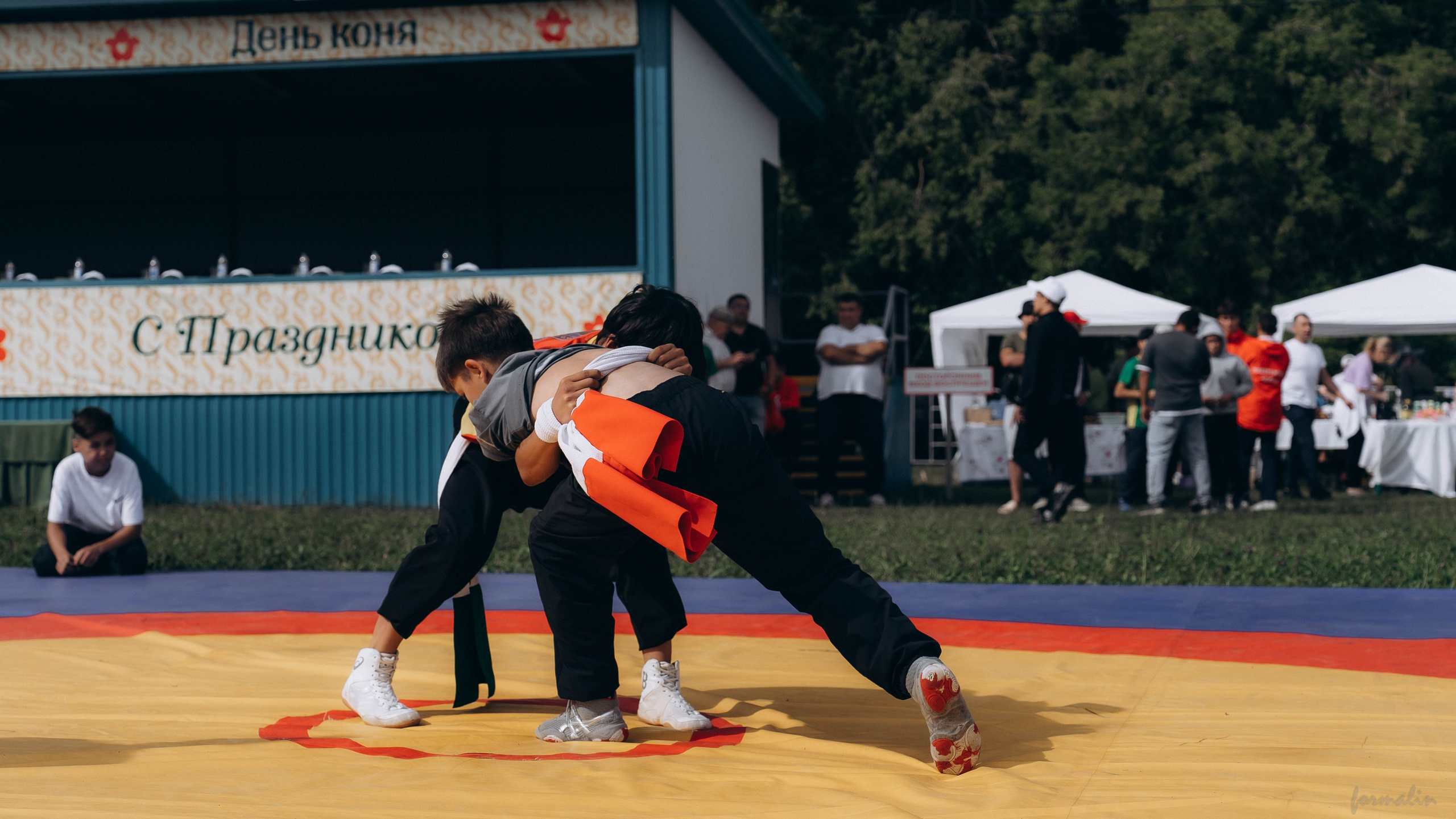 День Коня. Алиса Никитцова | Фотограф в Казани