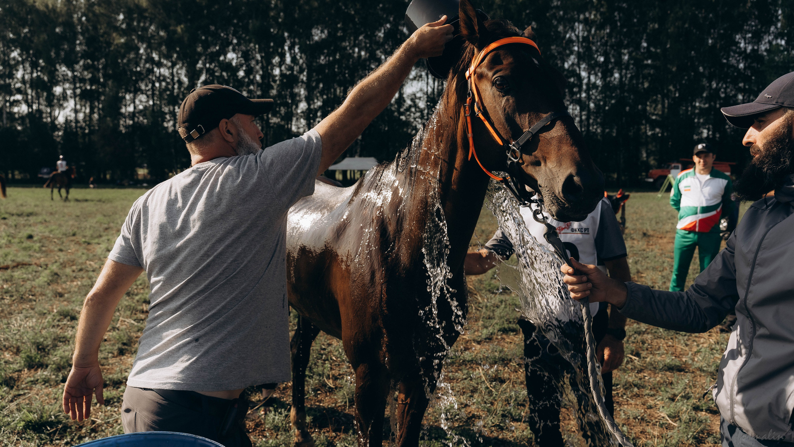 День Коня. Алиса Никитцова | Фотограф в Казани