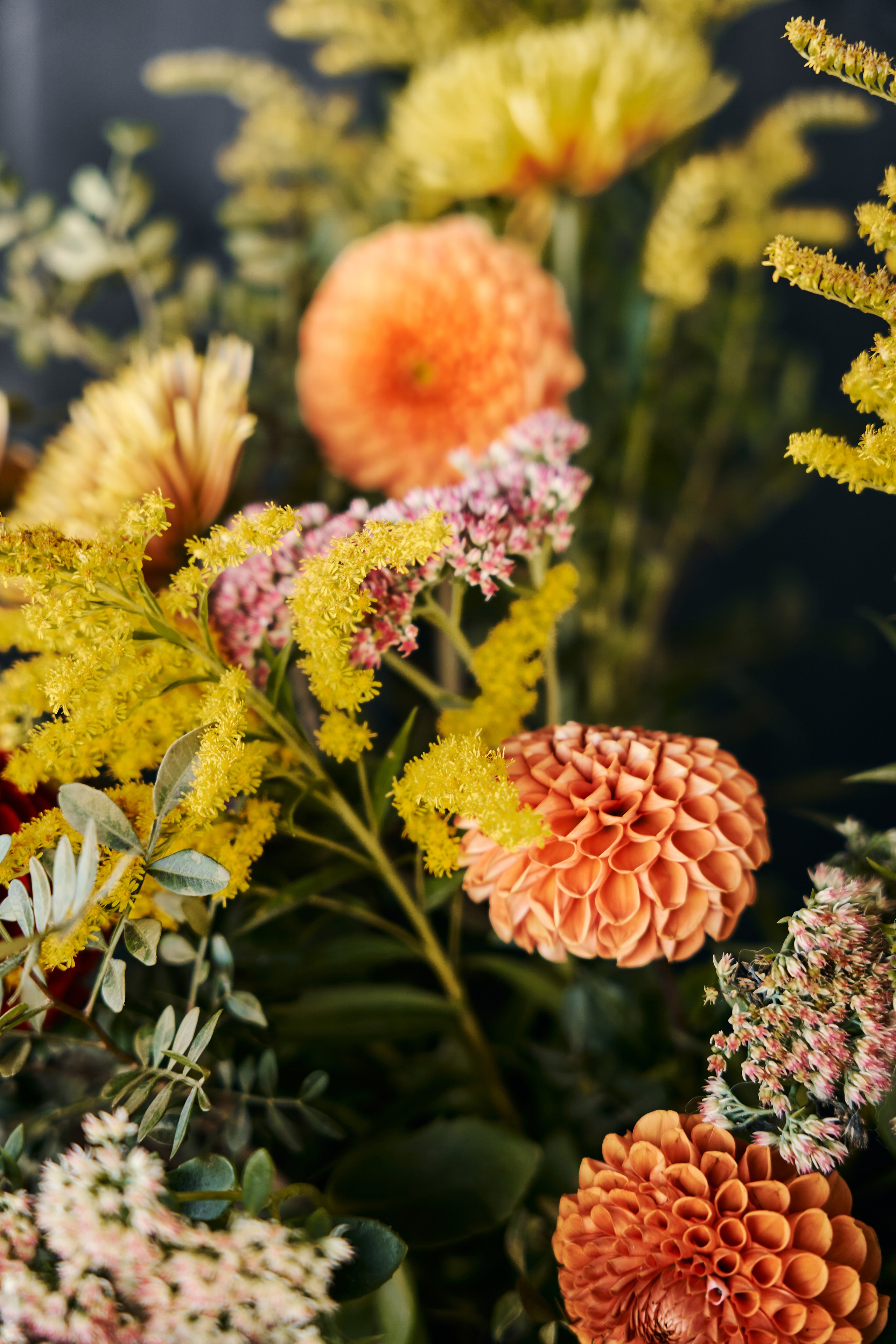 Sexychella. Фотограф в Москве Казакова Анна