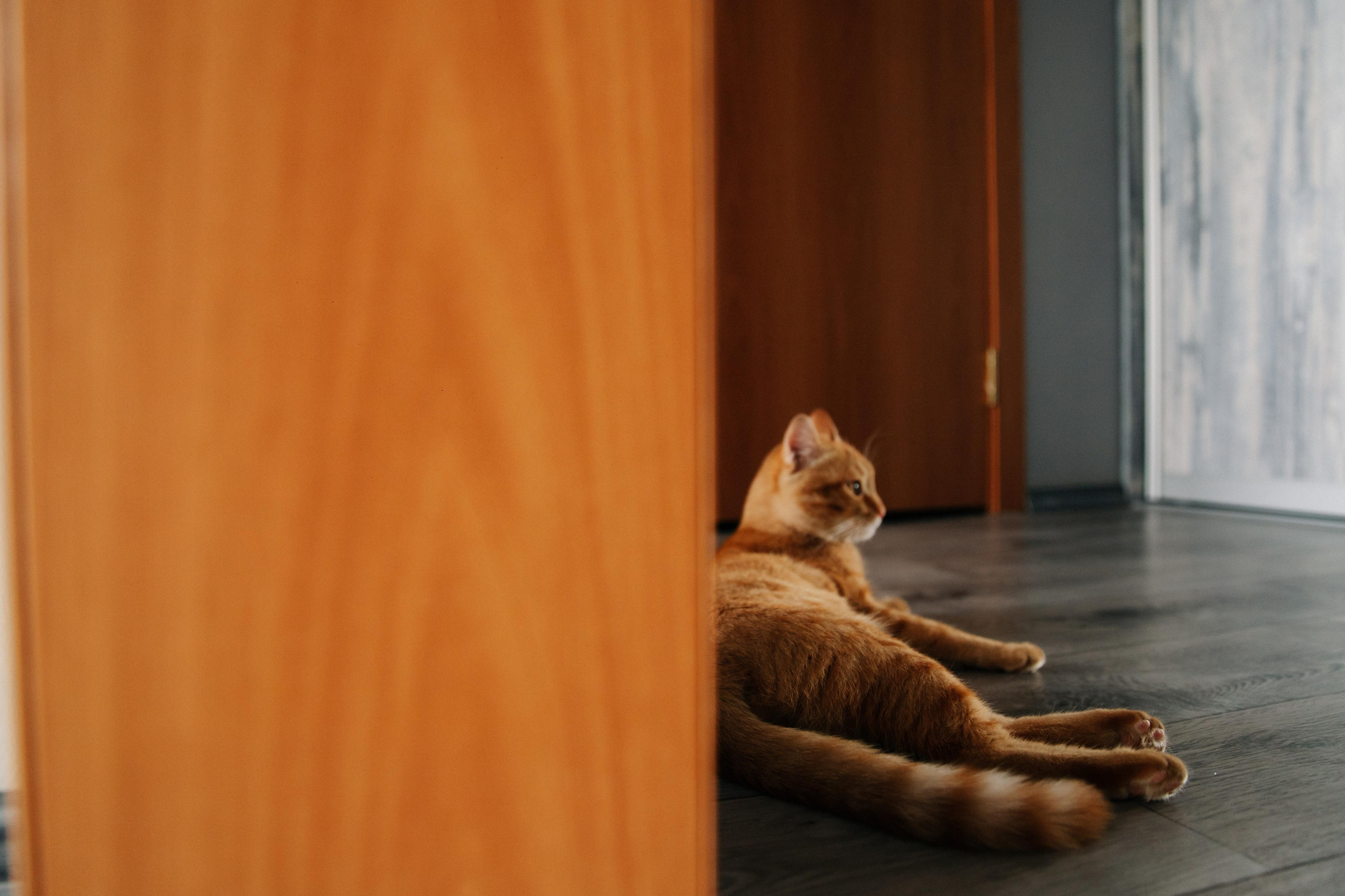 Роман и Арина