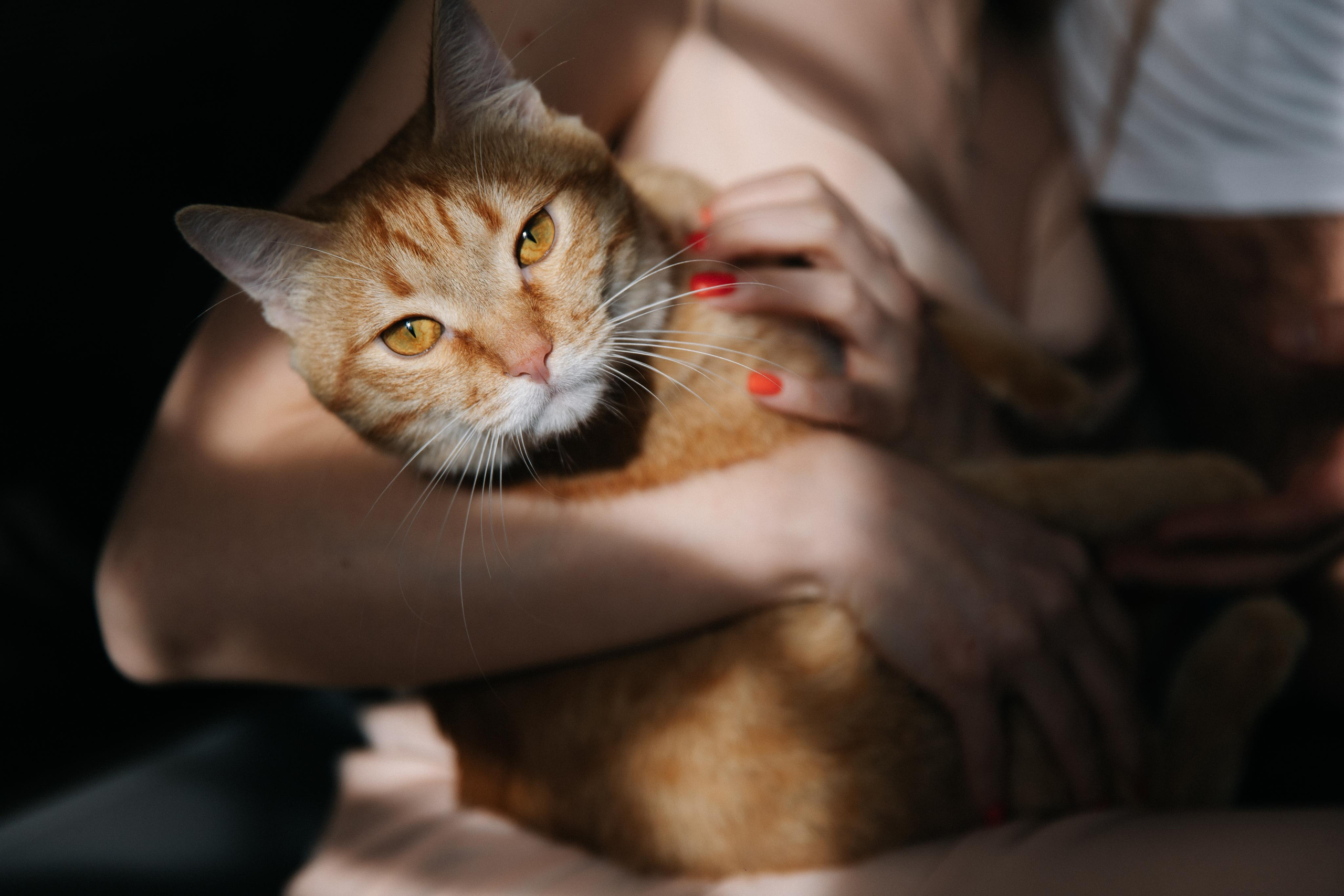 Роман и Арина