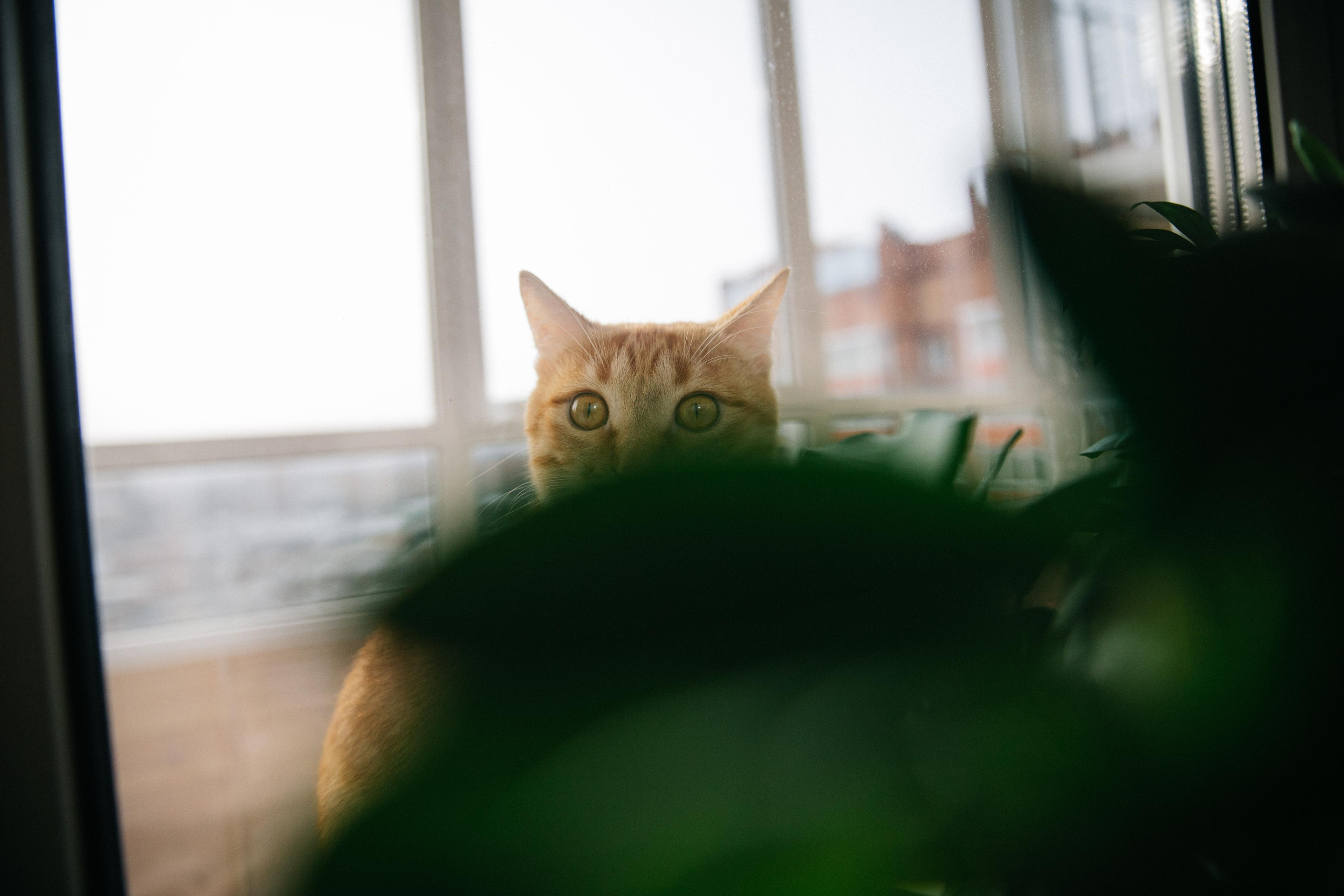 Роман и Арина