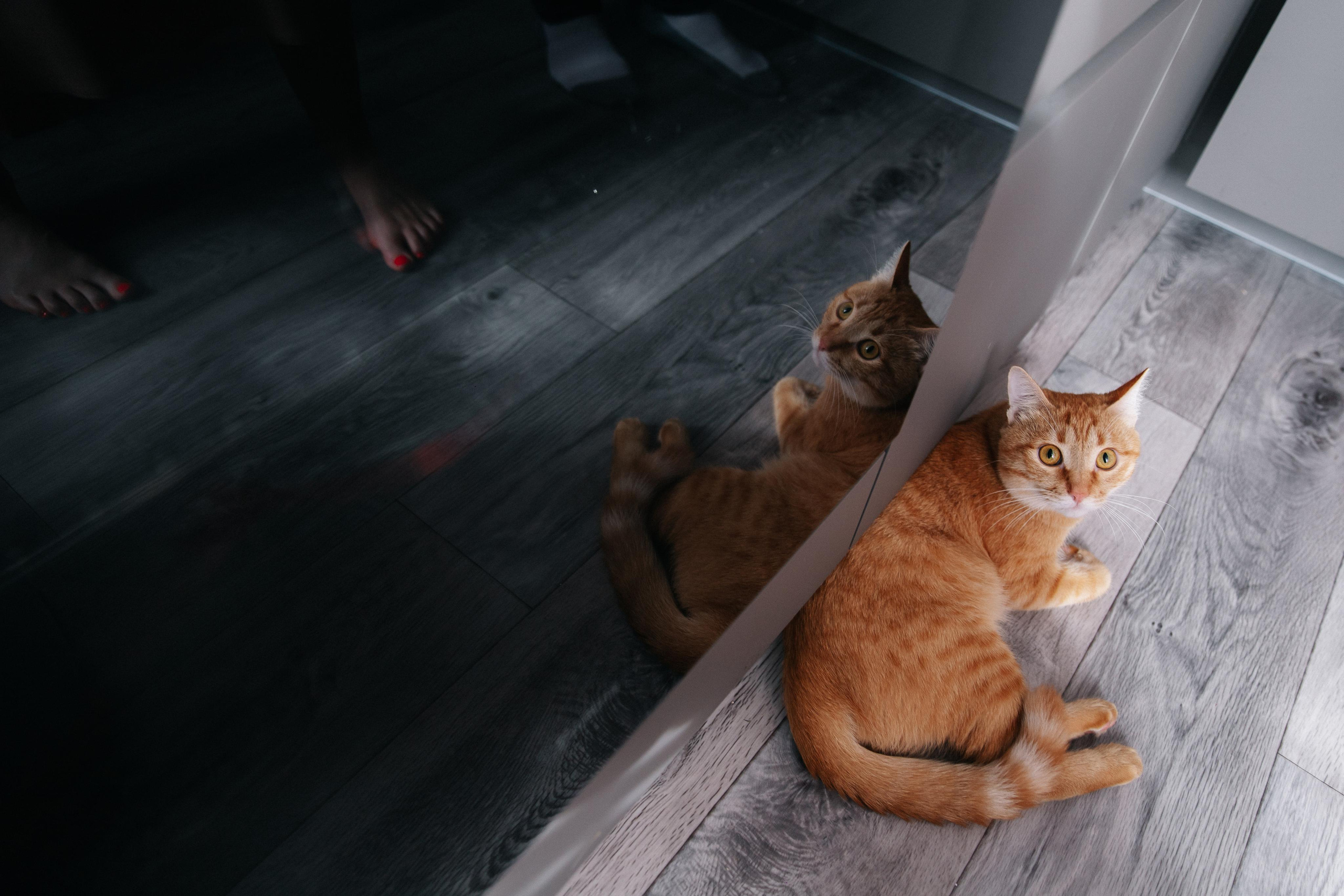 Роман и Арина