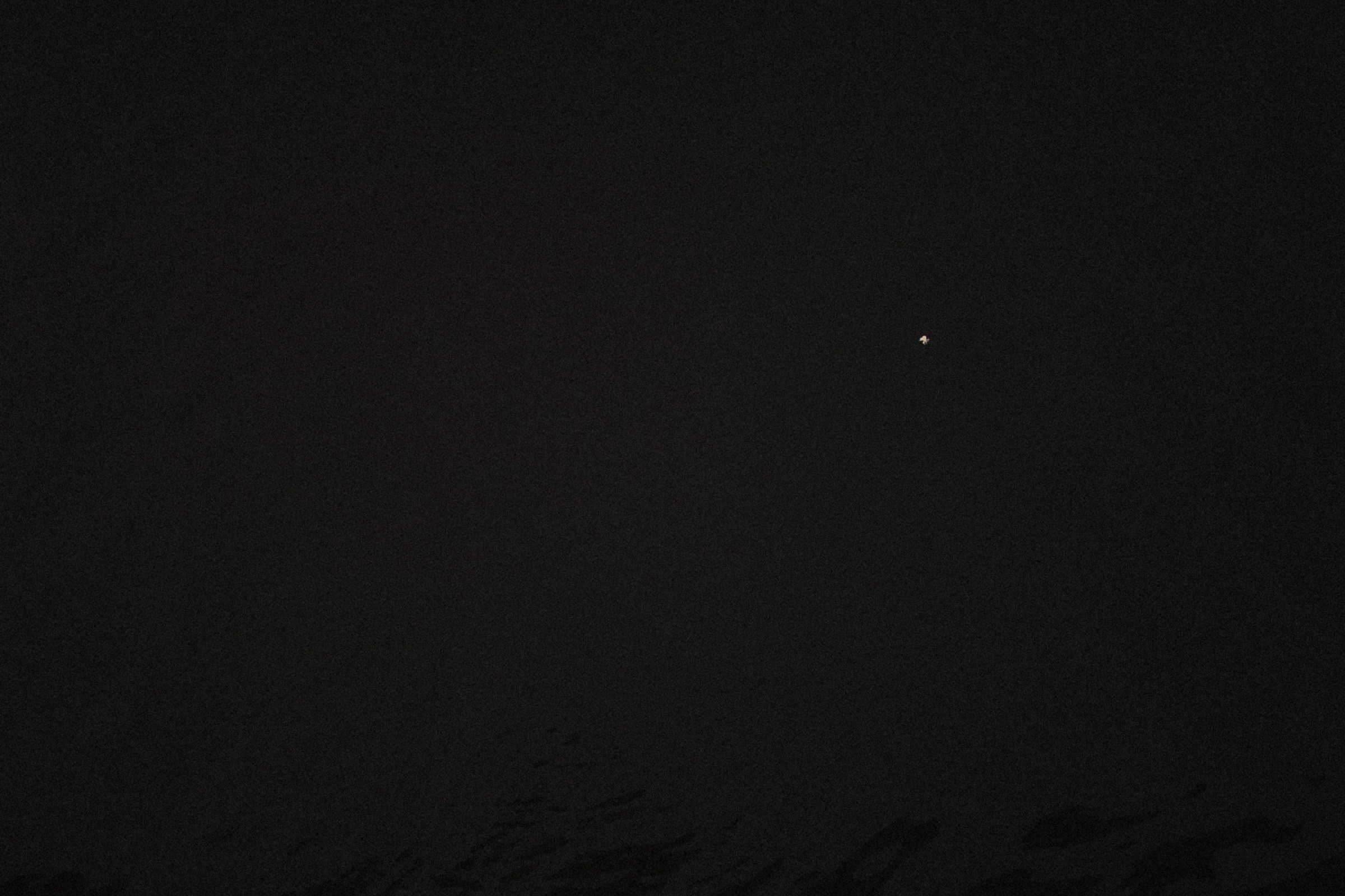 Питер. Свадебный и семейный фотограф Москва, Спб, Крым Игорь Сазонов