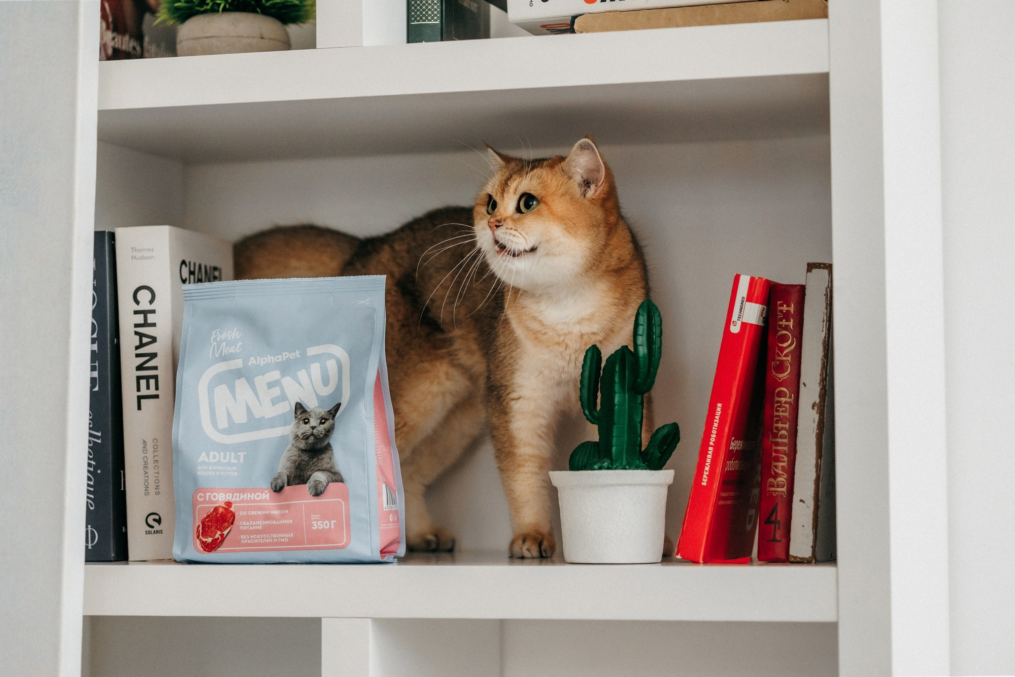 Корма Alpha Pet. Фотограф-анималист Елена Радченко, Москва