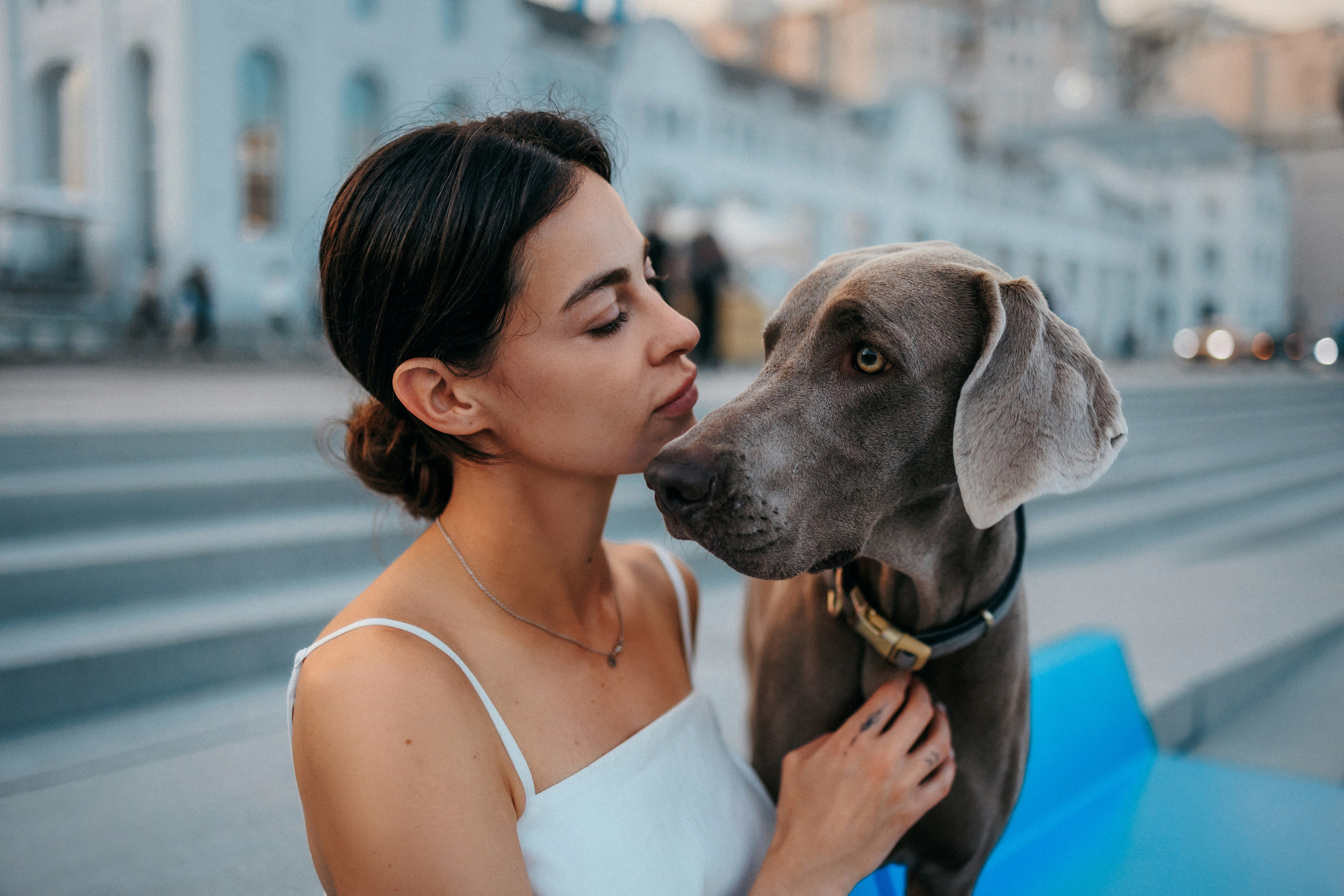 Соня и Майли. Фотограф-анималист Елена Радченко, Москва