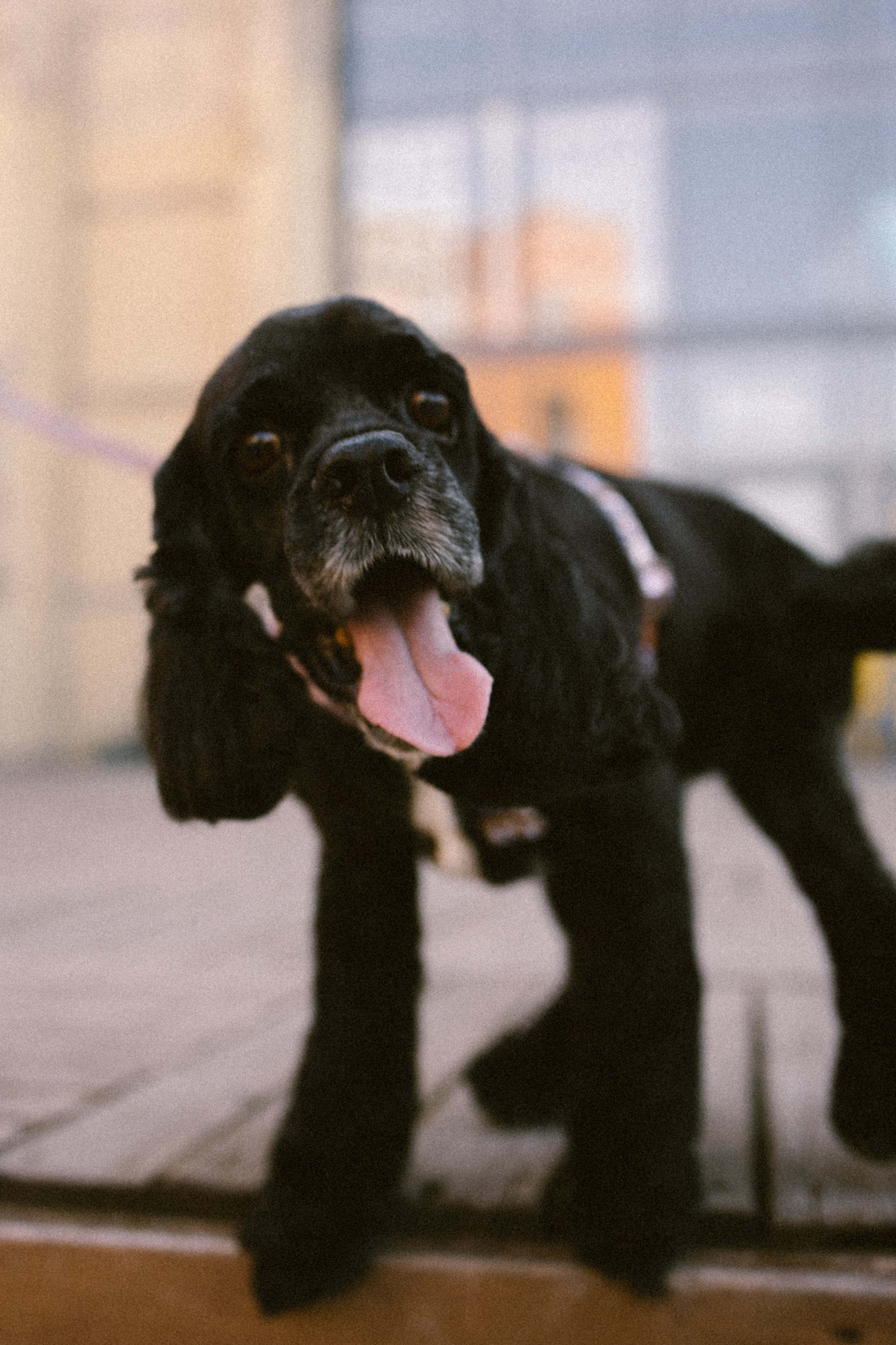 Катя и Плю. Главная