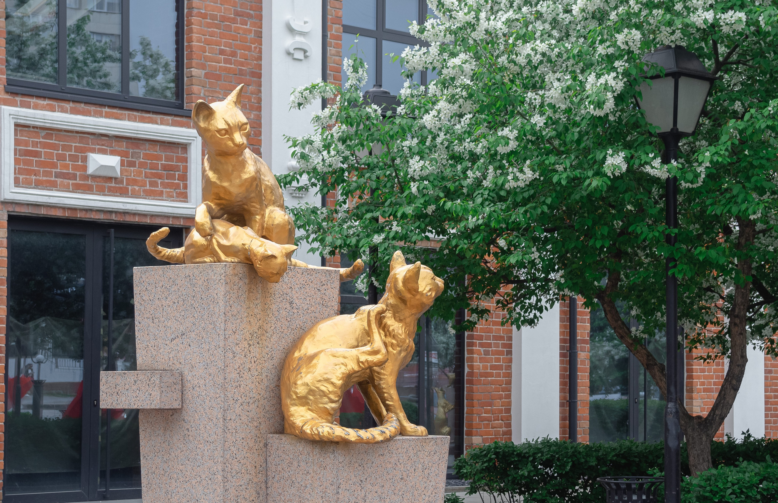 Сквер Сибирских кошек в Тюмени