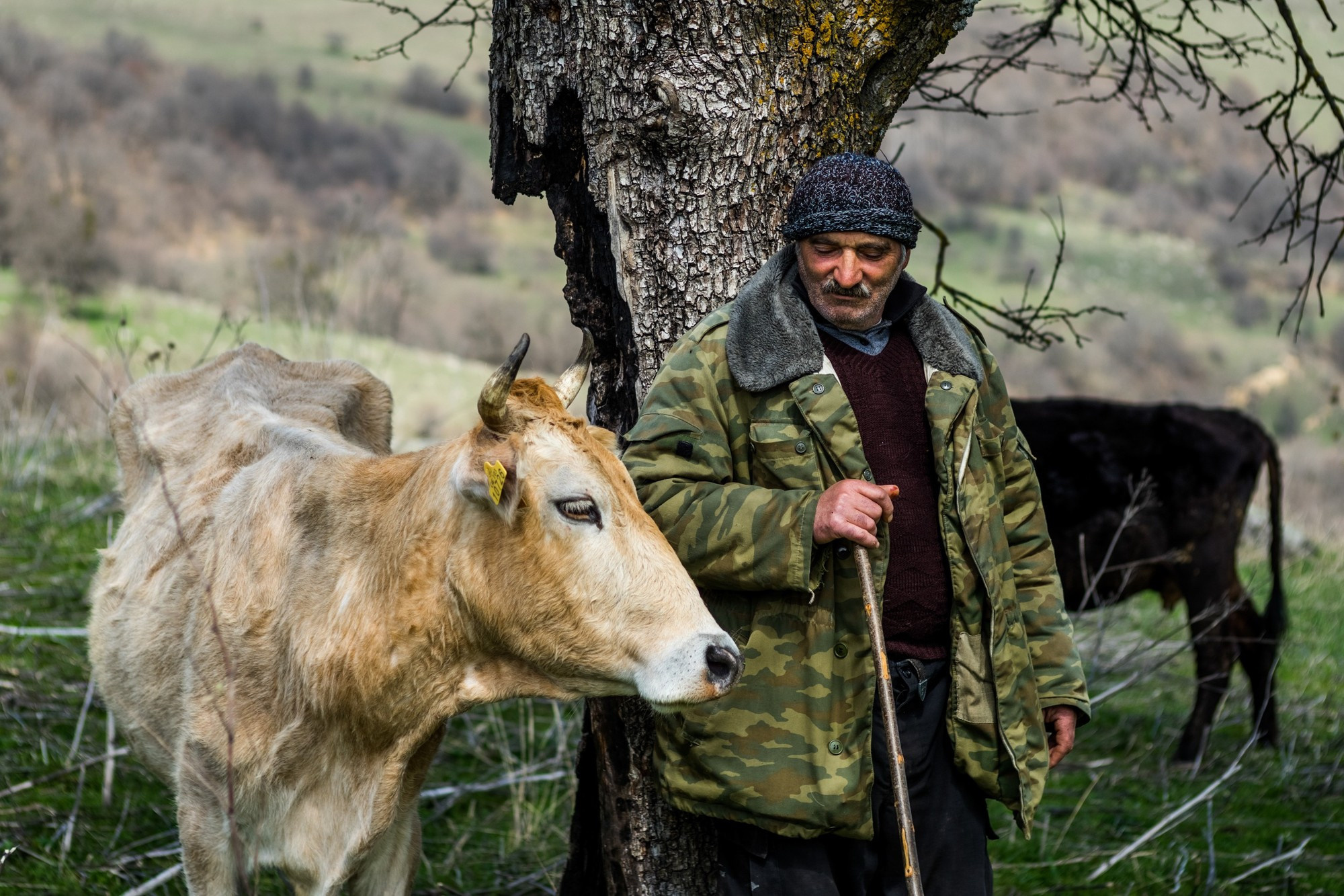 Фототур в Грузию, апрель 2017 и 2018