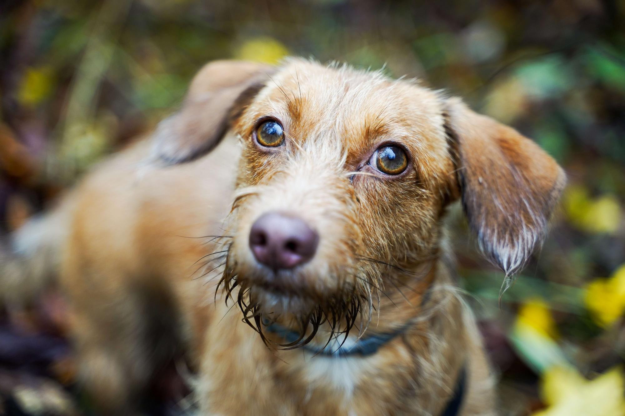Тамара и Екатерина, Прага, Чехия