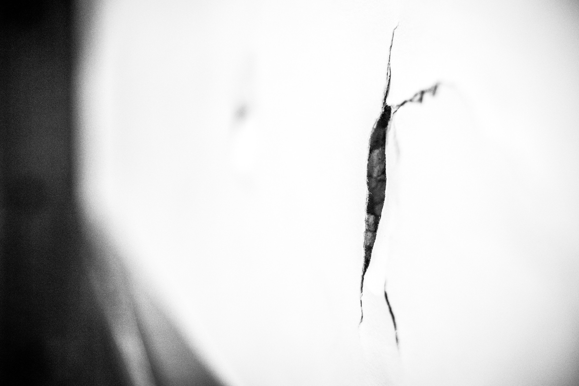 Кикбоксинг