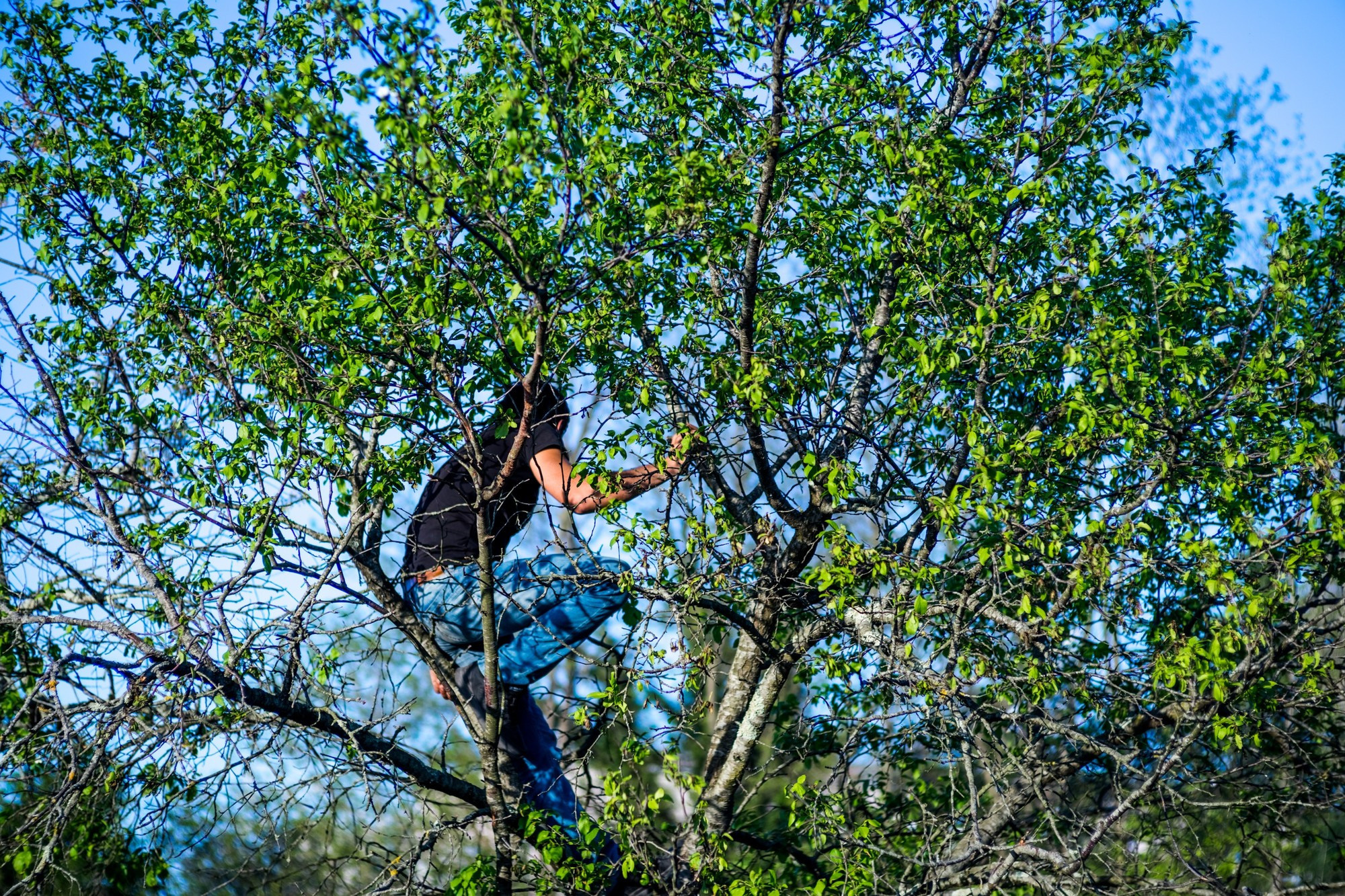 Лело бурти, ლელო ბურთი, Шухути, Грузия 2018