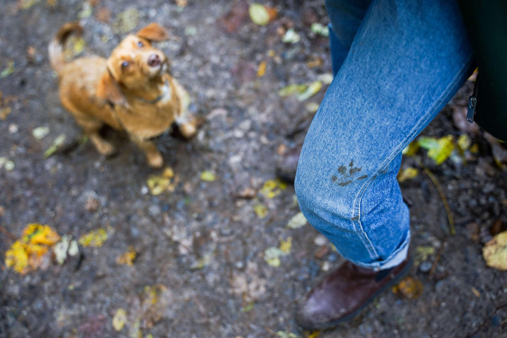 Тамара и Екатерина, Прага, Чехия