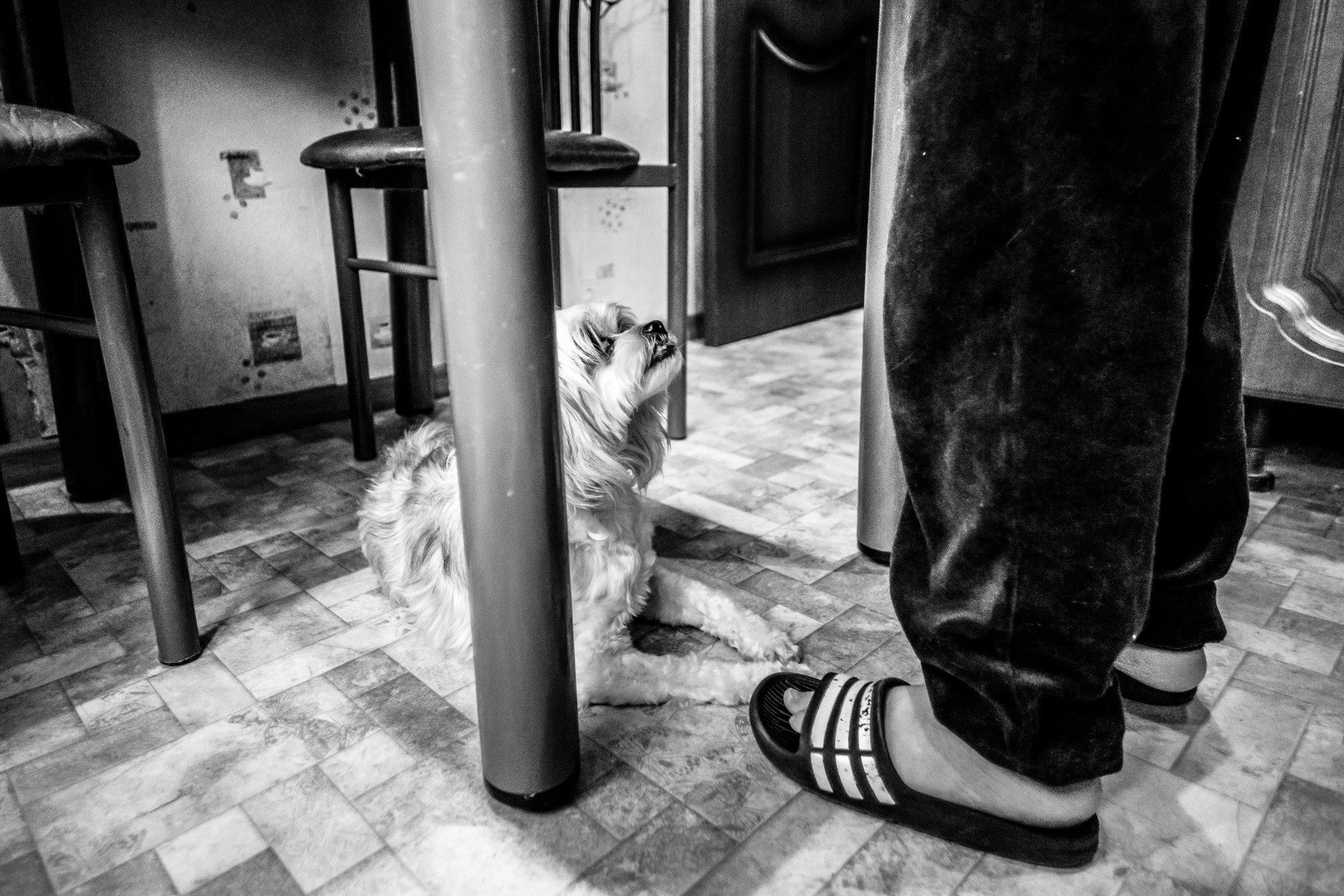 Один день. Даня. 6 лет