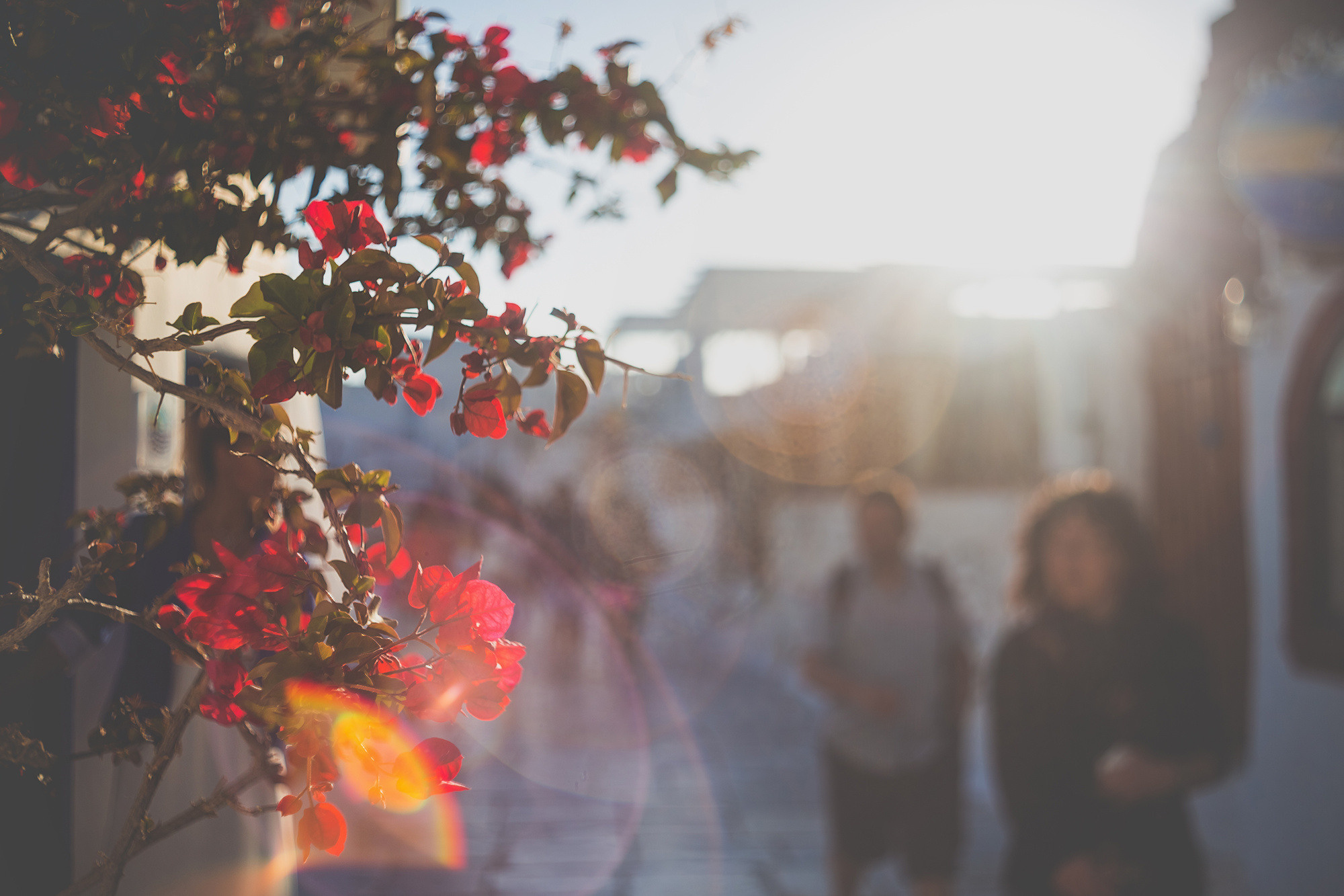 Вера и Андрей, Санторини, Греция