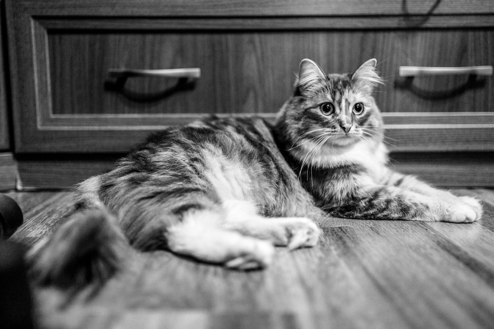 Один день. Даня. 6 лет