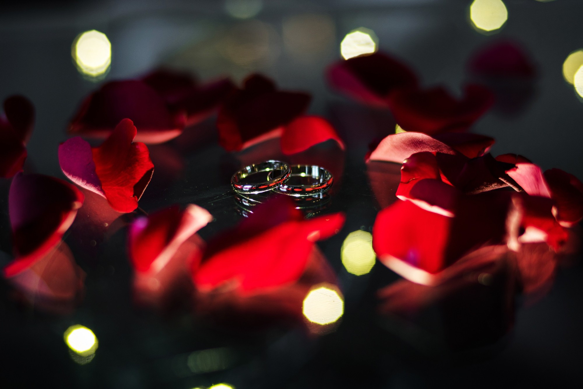 Елена и Кирилл, Санкт-Петербург, Россия