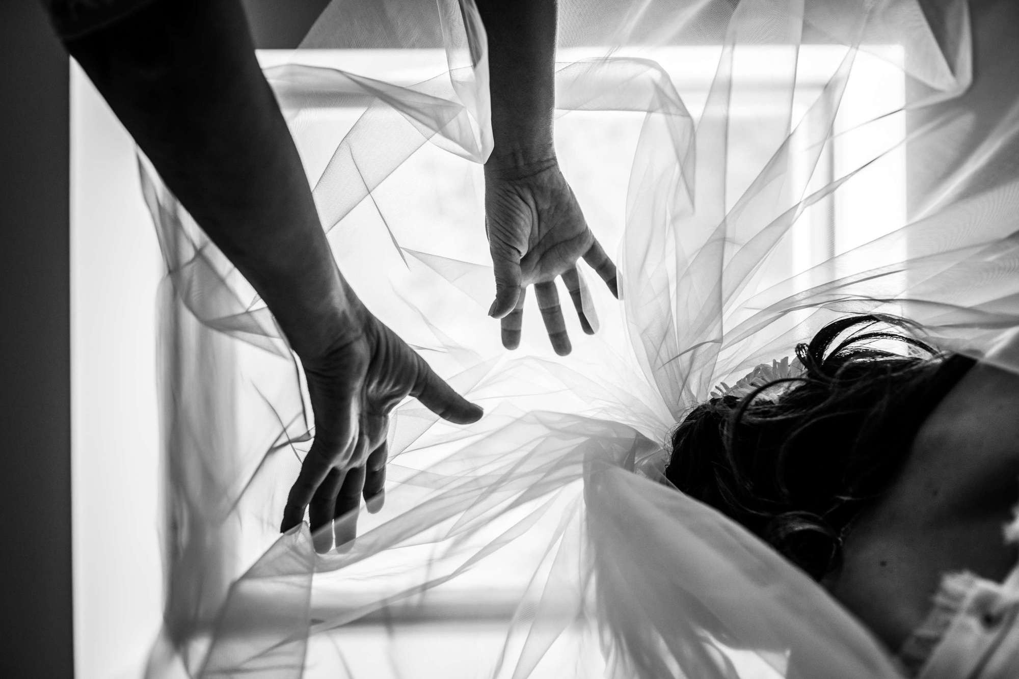 Елена и Анатолий, Санкт-Петербург, Россия