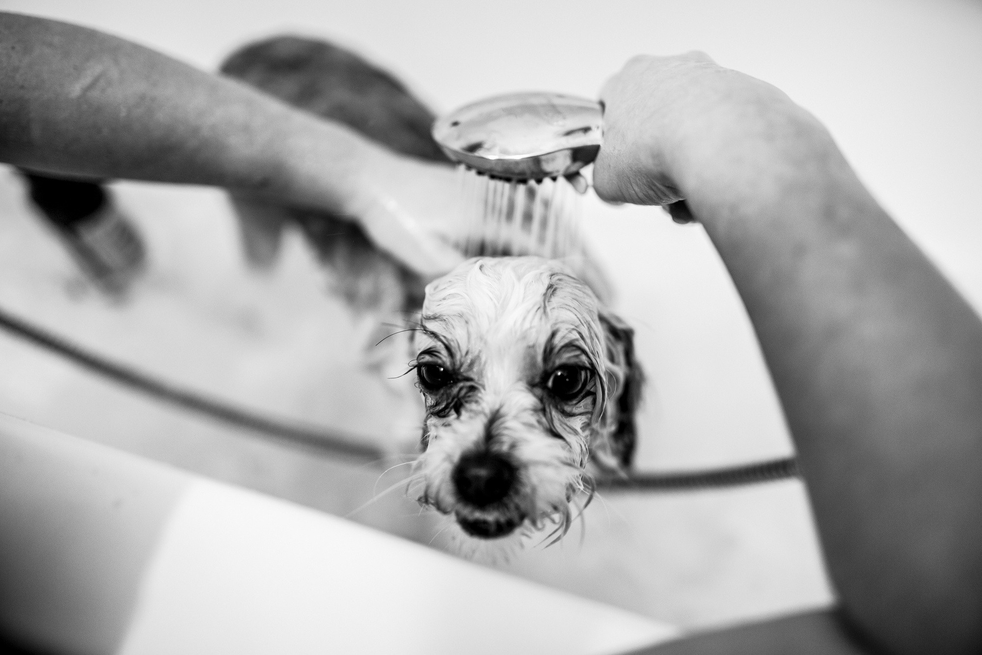 Один день. Даня. 6 лет