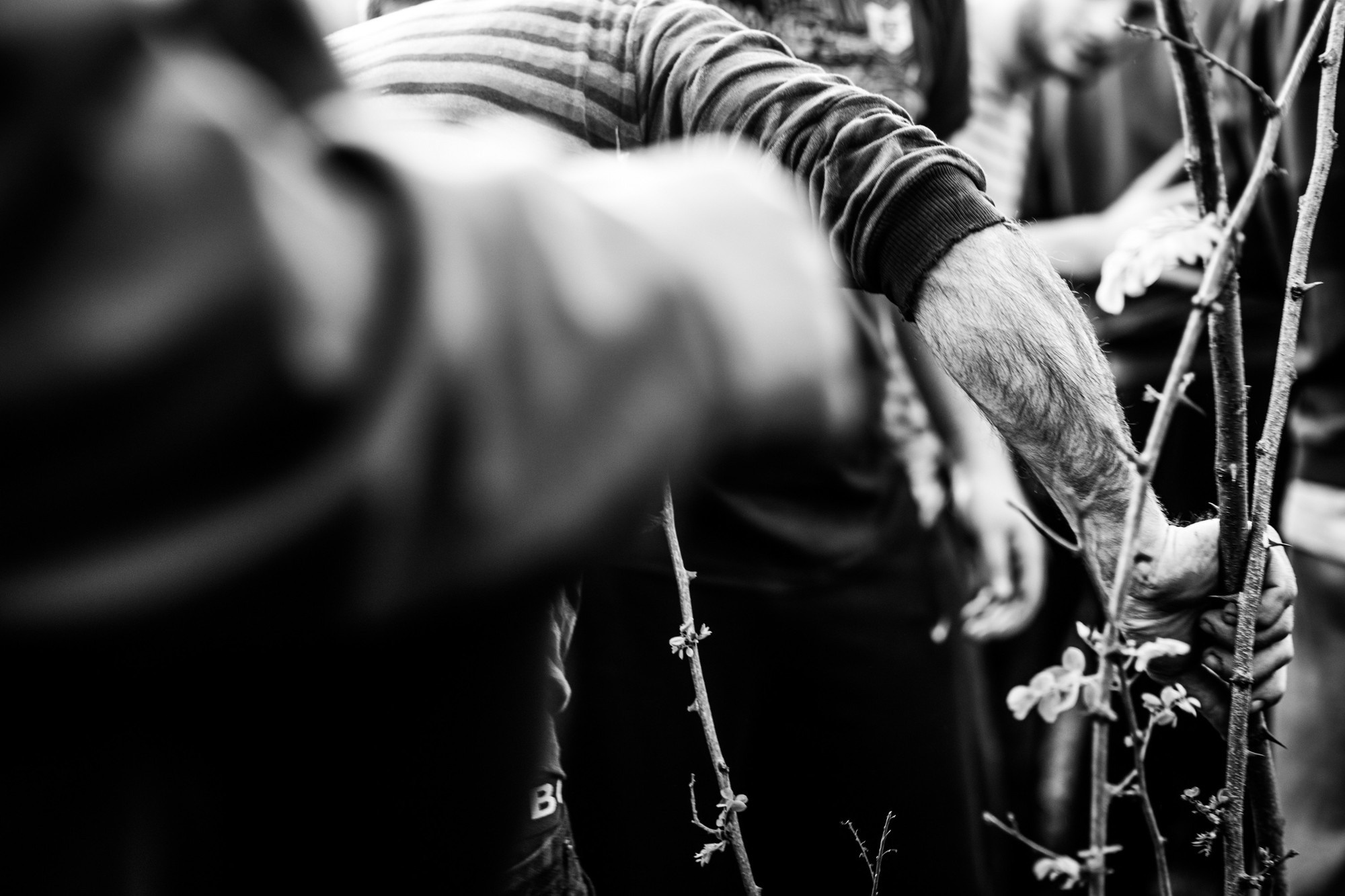 Лело бурти, ლელო ბურთი, Шухути, Грузия 2018