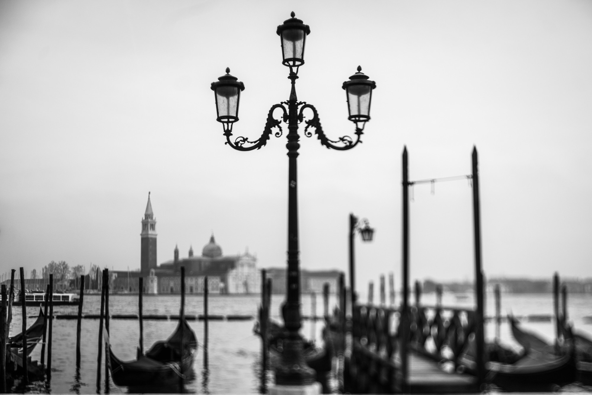 Patrick and Melissa, Венеция, Италия