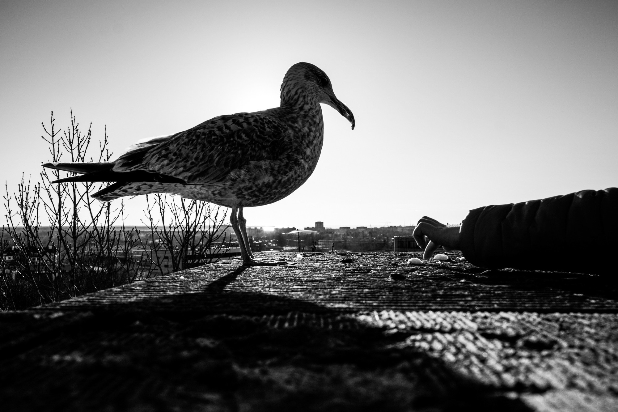 Маша и Андрей, Таллин, Эстония